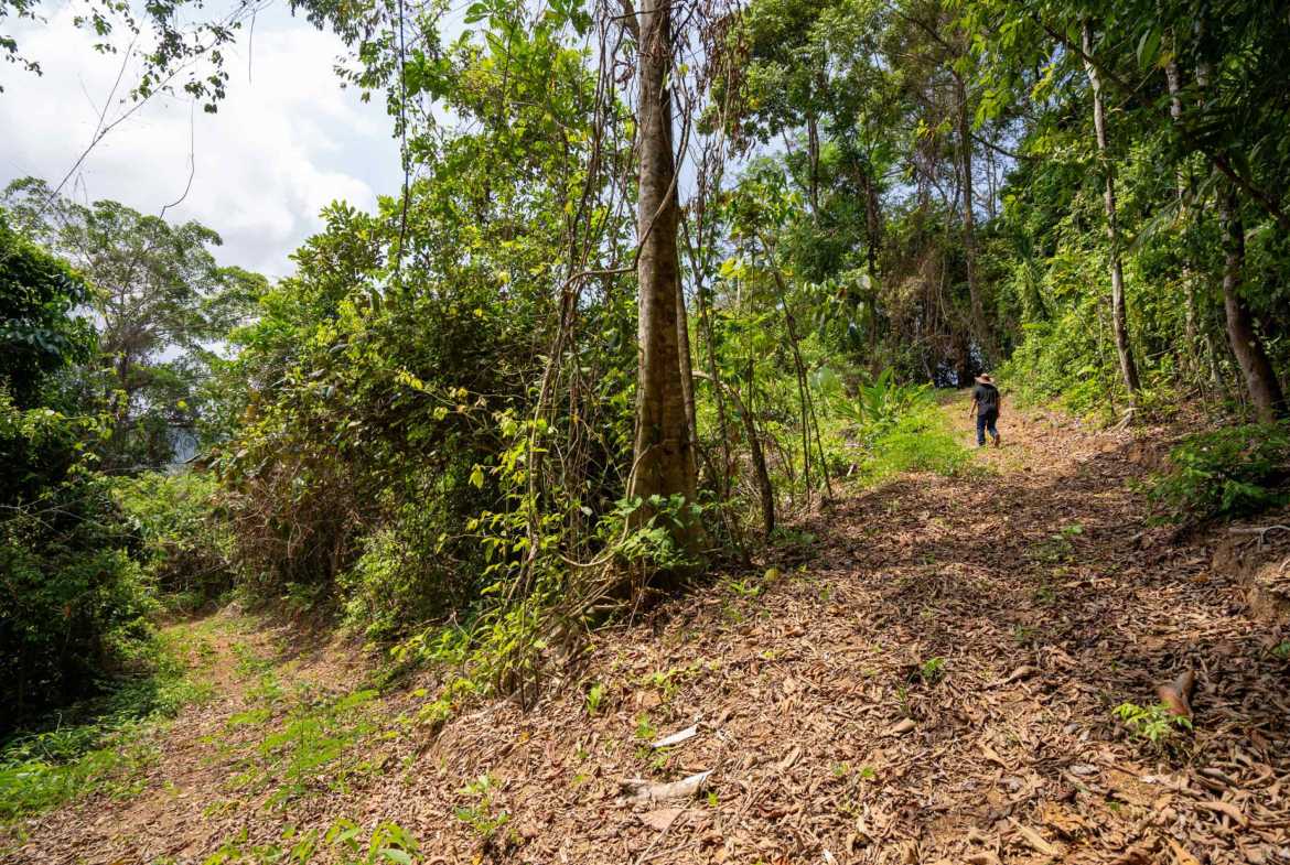 Spectacular 86-Acre Ocean View Raw Development Land with Legal Water in Dominical Costa Rica photo 31