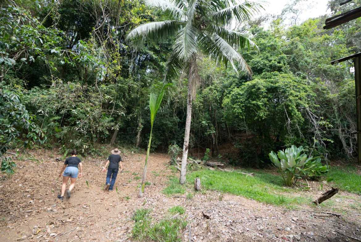 Spectacular 86-Acre Ocean View Raw Development Land with Legal Water in Dominical Costa Rica photo 29