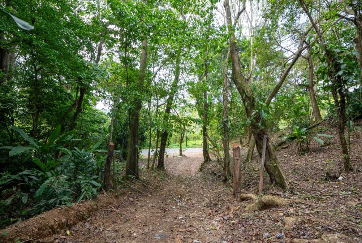 Spectacular 86-Acre Ocean View Raw Development Land with Legal Water in Dominical Costa Rica photo 23