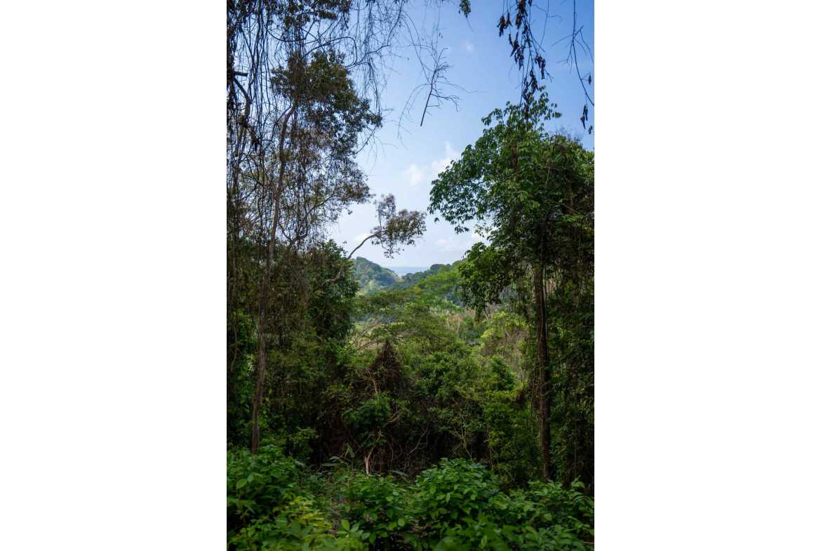 Spectacular 86-Acre Ocean View Raw Development Land with Legal Water in Dominical Costa Rica photo 20