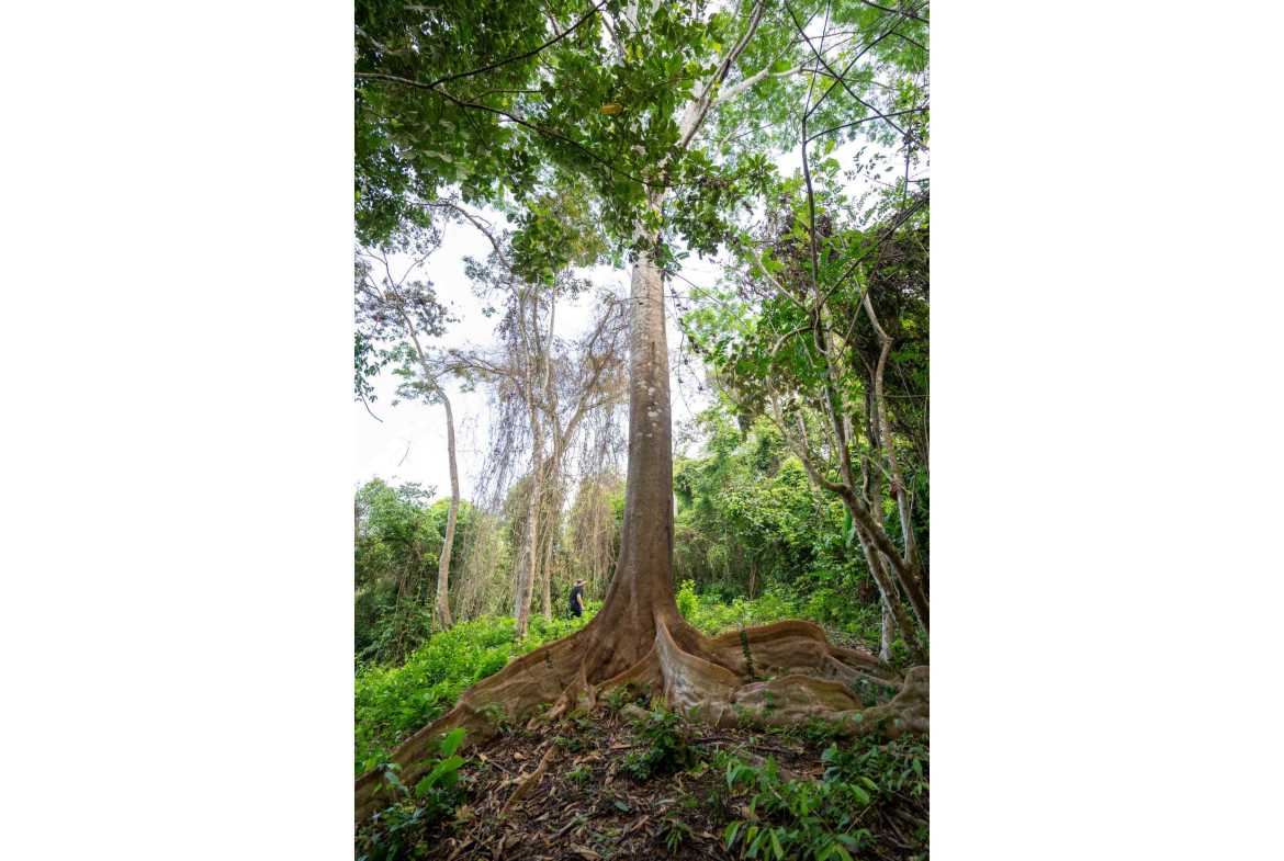 Spectacular 86-Acre Ocean View Raw Development Land with Legal Water in Dominical Costa Rica photo 19