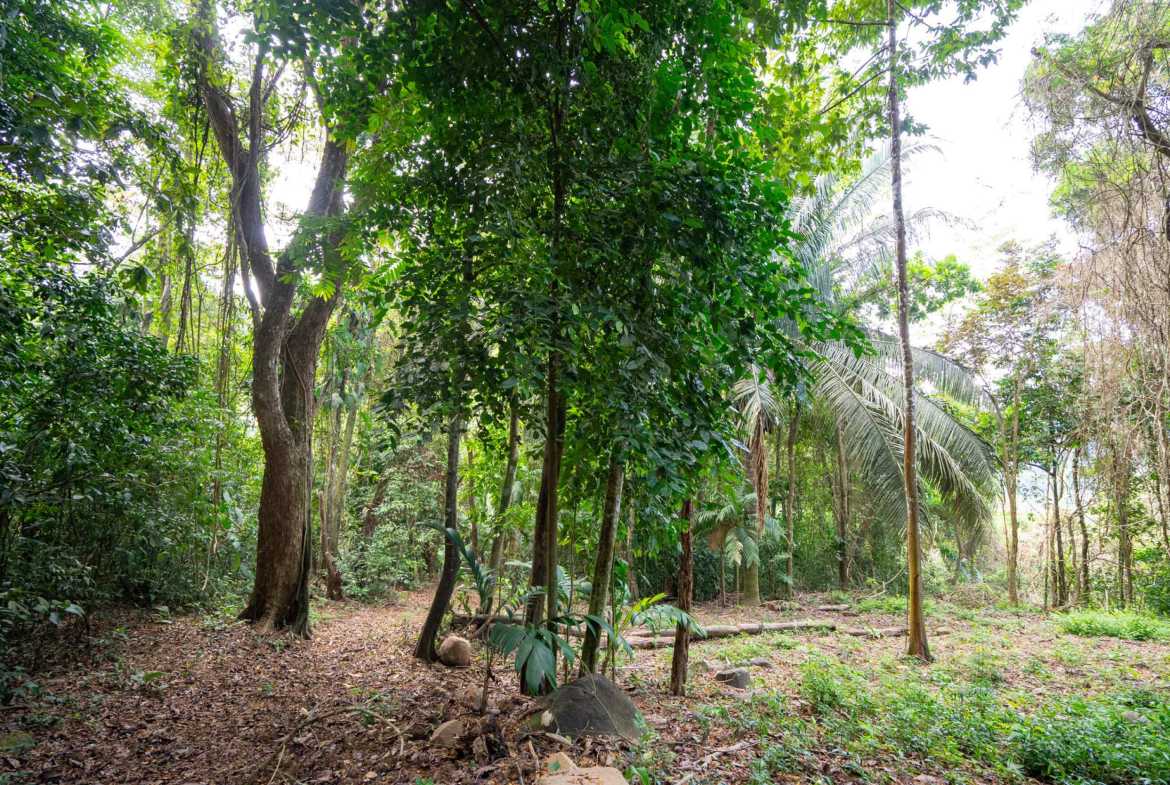 Spectacular 86-Acre Ocean View Raw Development Land with Legal Water in Dominical Costa Rica photo 18