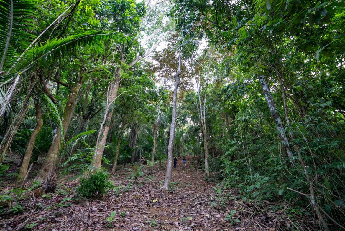 Spectacular 86-Acre Ocean View Raw Development Land with Legal Water in Dominical Costa Rica photo 15