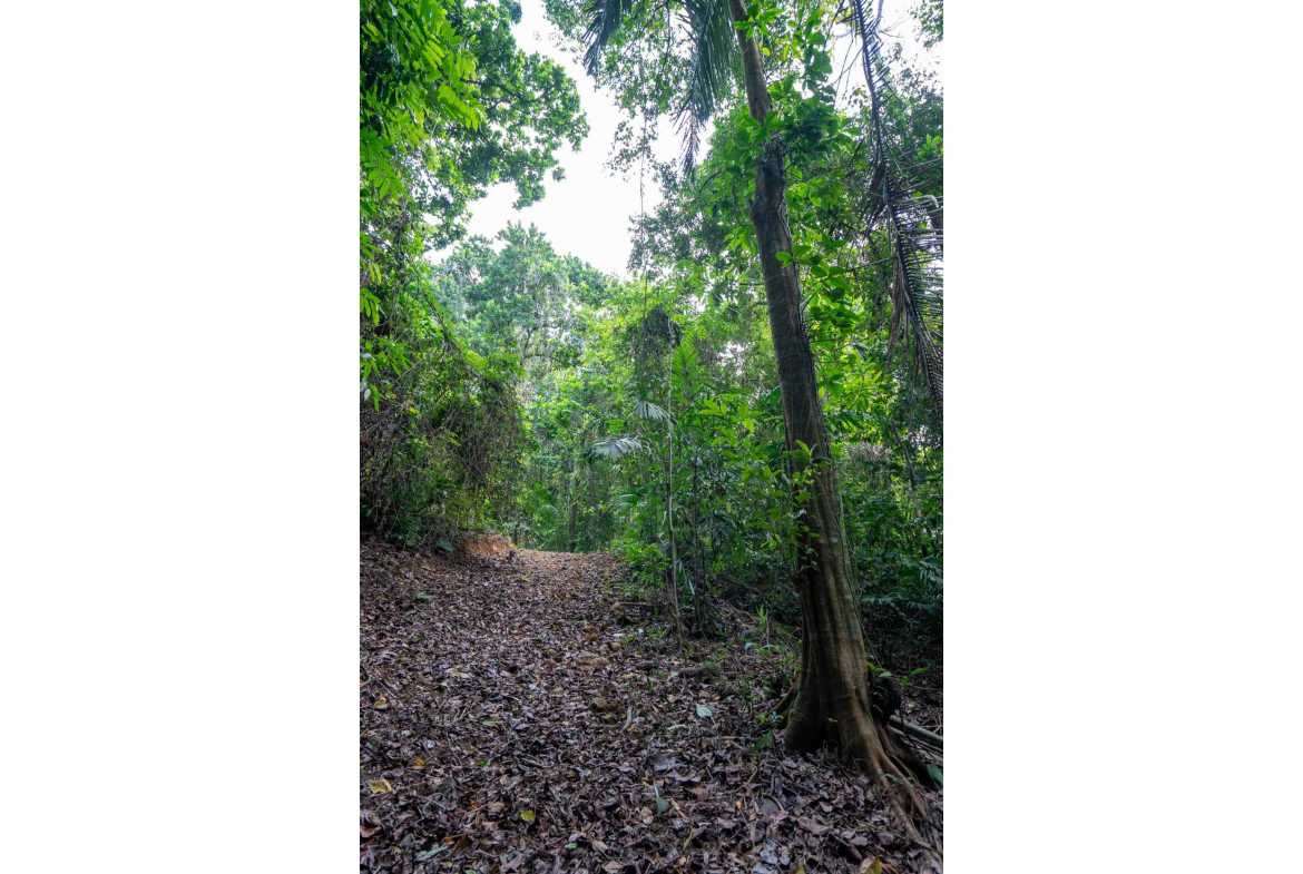 Spectacular 86-Acre Ocean View Raw Development Land with Legal Water in Dominical Costa Rica photo 14