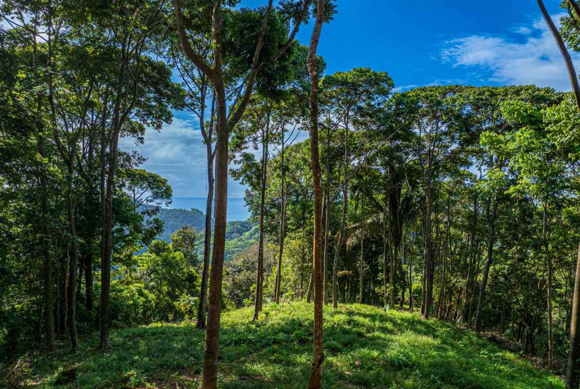 Spectacular 86-Acre Ocean View Raw Development Land with Legal Water in Dominical Costa Rica photo 11