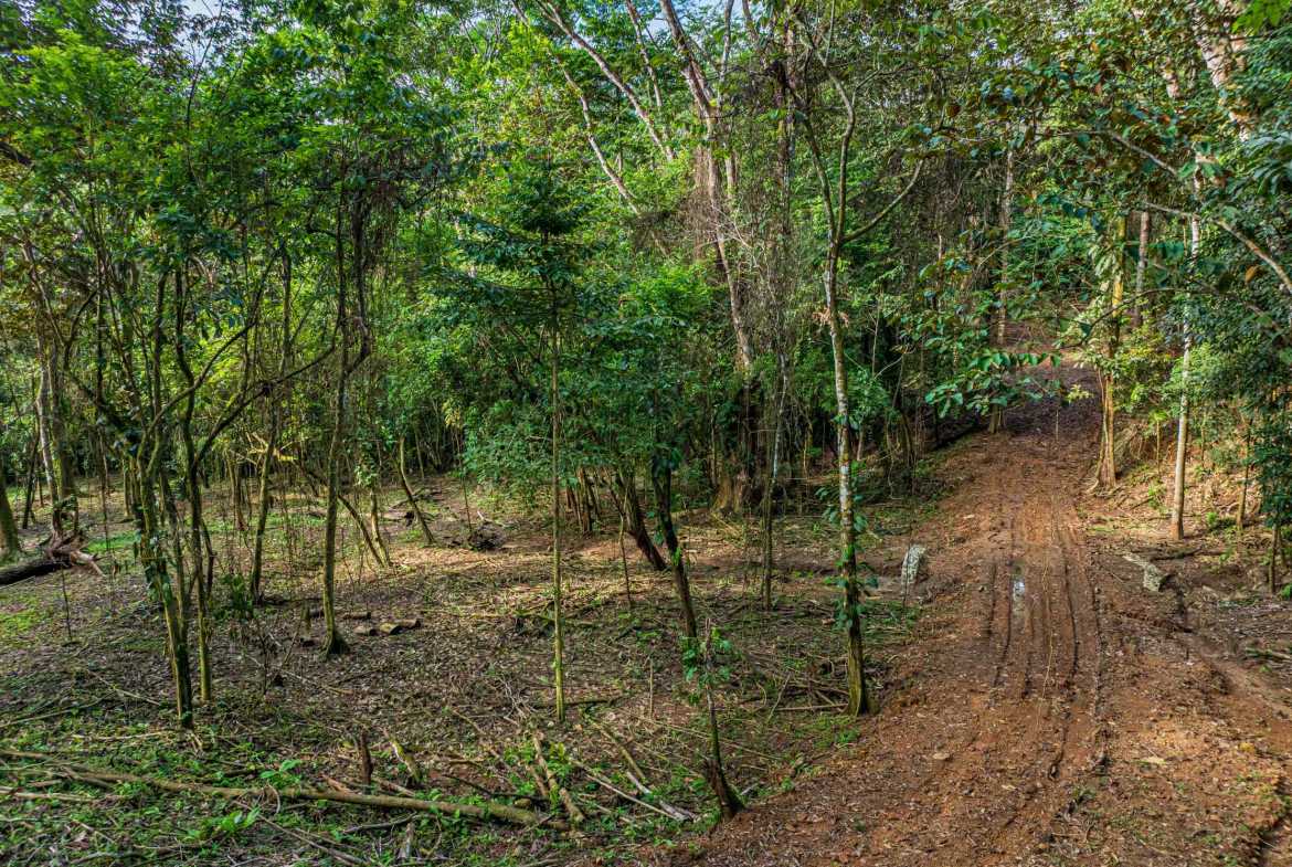 Spectacular 86-Acre Ocean View Raw Development Land with Legal Water in Dominical Costa Rica photo 9