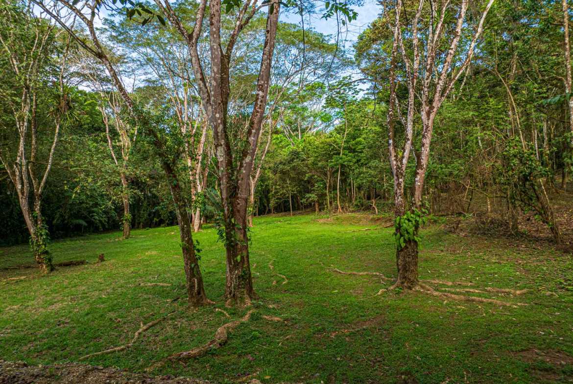 Spectacular 86-Acre Ocean View Raw Development Land with Legal Water in Dominical Costa Rica photo 8