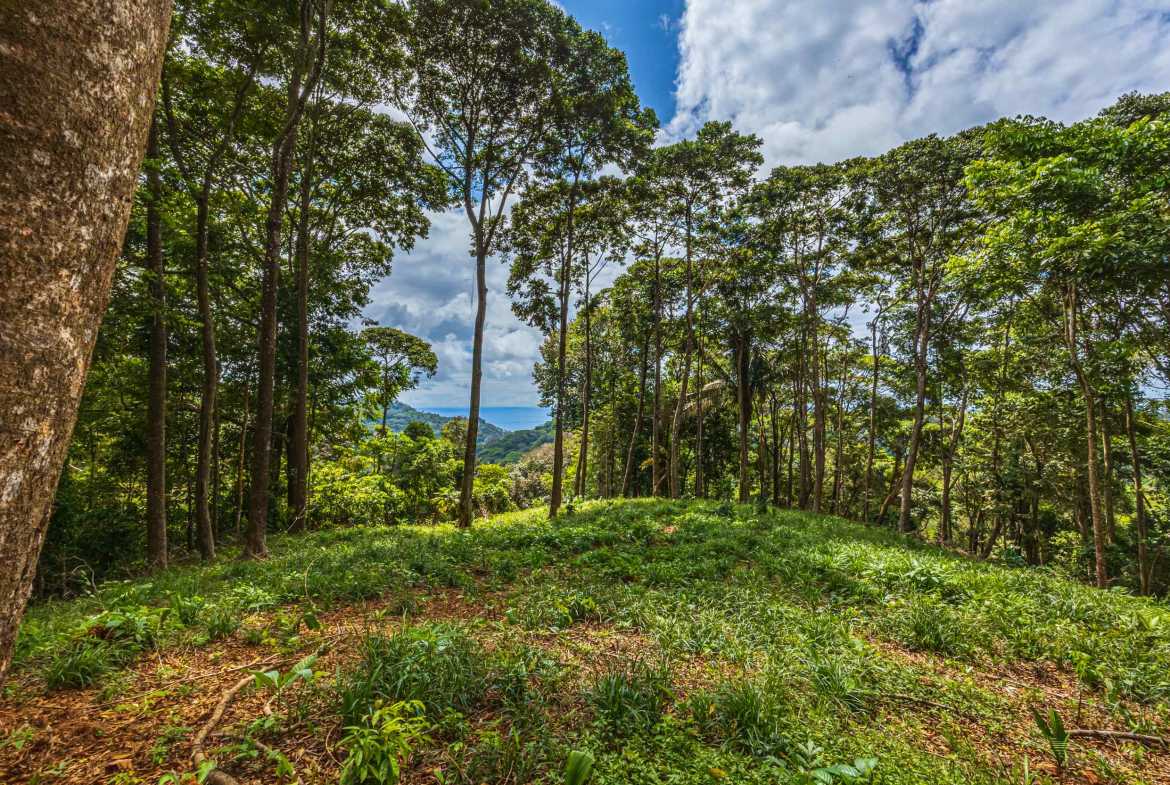 Spectacular 86-Acre Ocean View Raw Development Land with Legal Water in Dominical Costa Rica photo 7