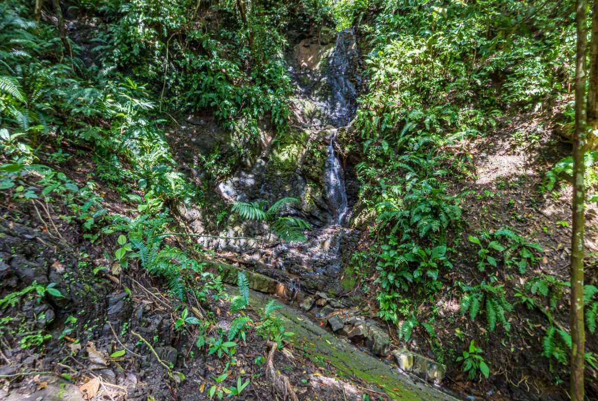 Spectacular 86-Acre Ocean View Raw Development Land with Legal Water in Dominical Costa Rica photo 4