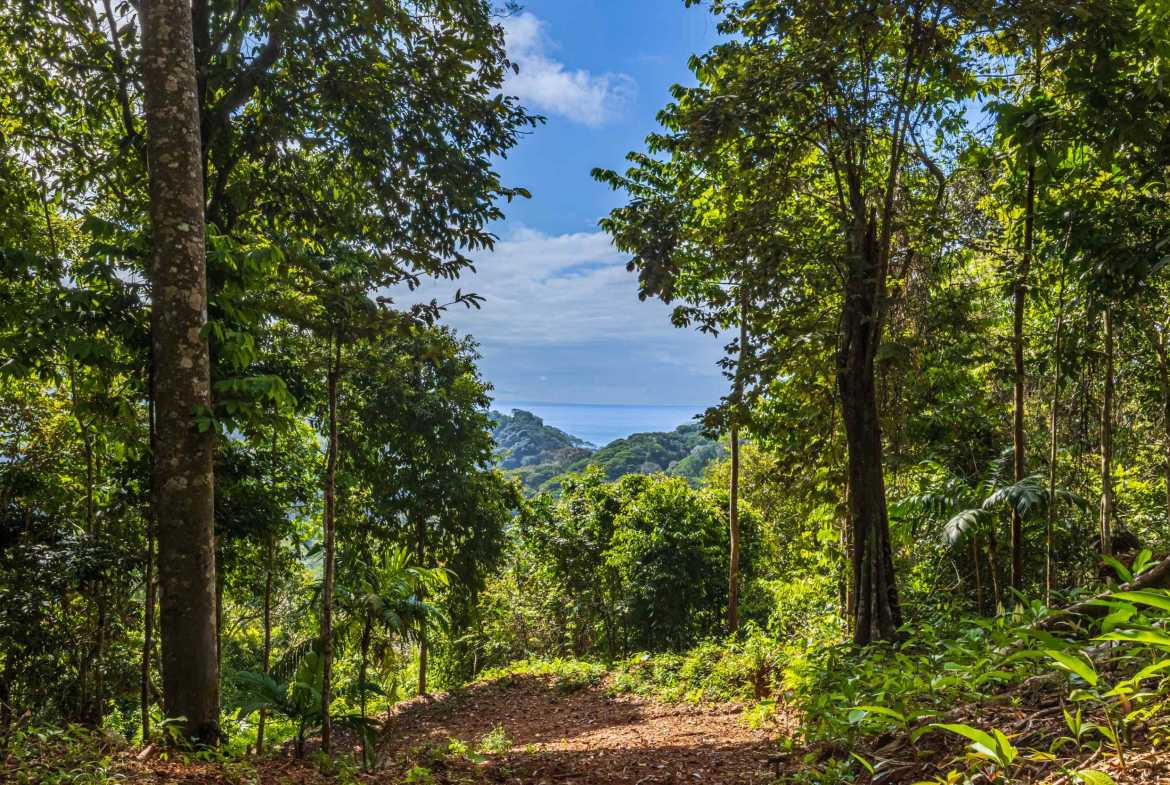 Spectacular 86-Acre Ocean View Raw Development Land with Legal Water in Dominical Costa Rica photo 3