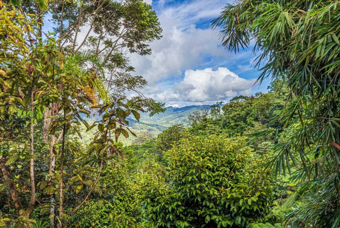 Stunning 2-Bedroom Bali Style Home with Pool & Ocean Views in Hatillo Costa Rica photo 12