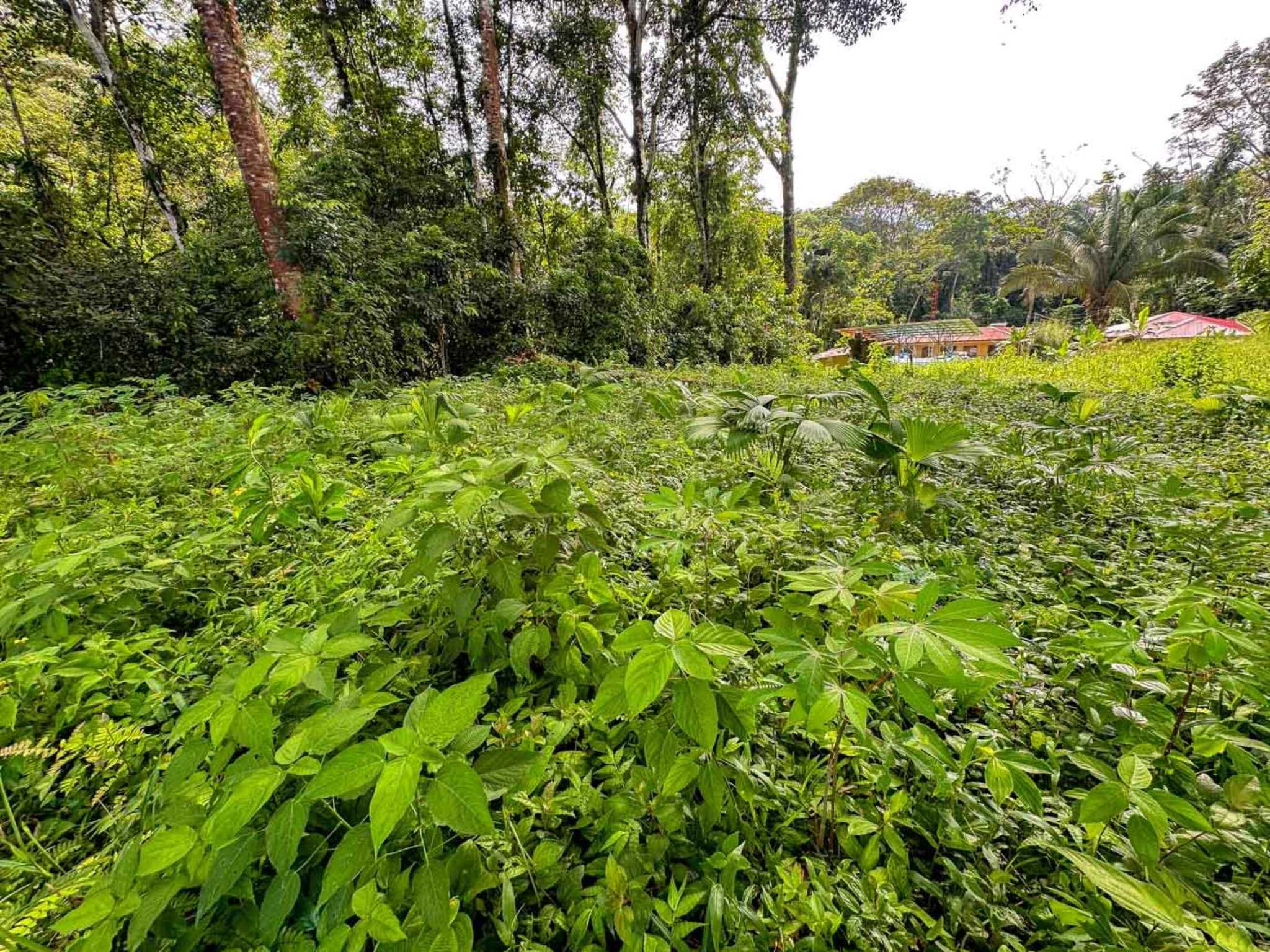 55858-7 Building Lot with Legal Water in Ojochal Costa Rica
