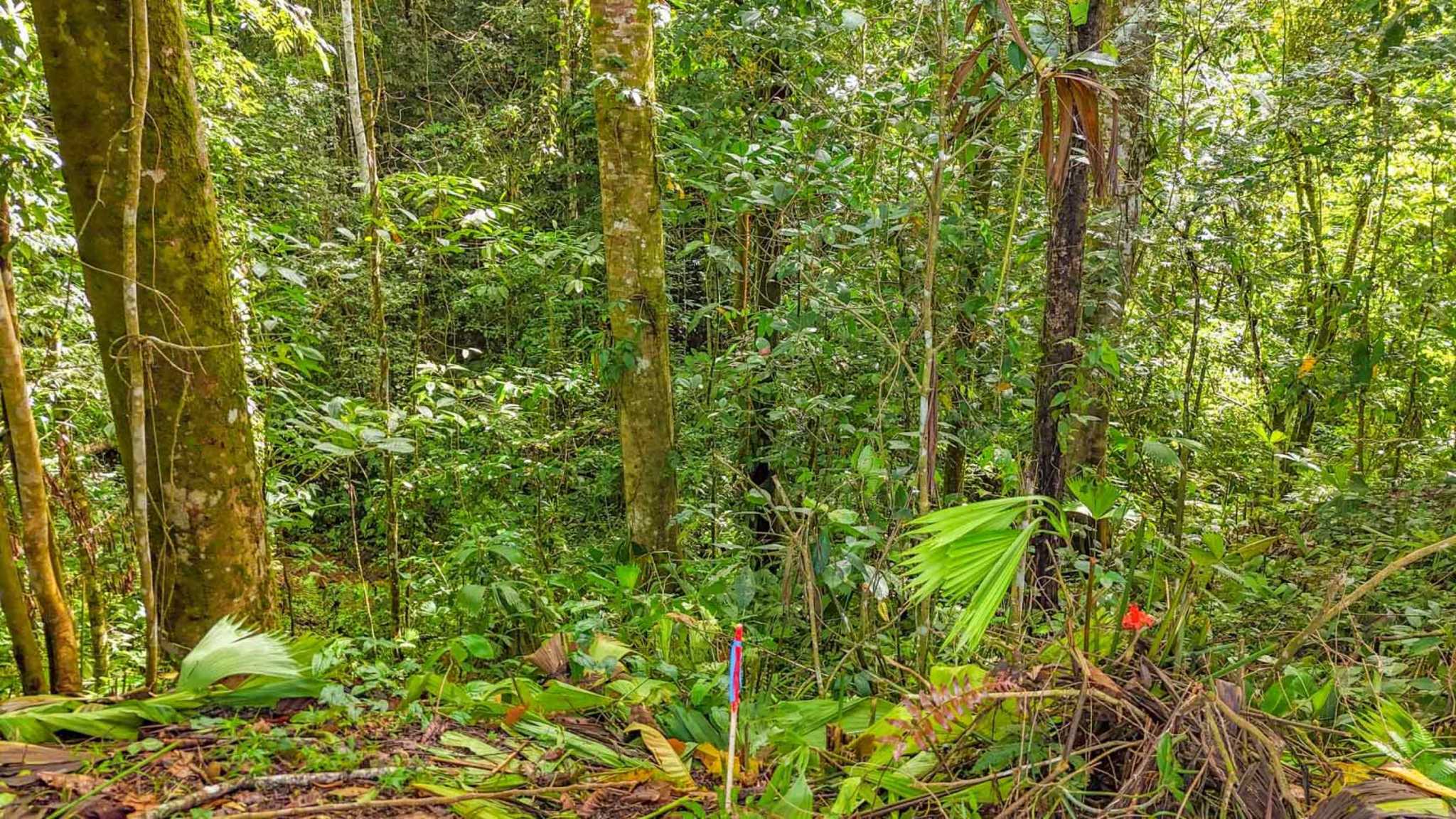 55858-6 Building Lot with Legal Water in Ojochal Costa Rica