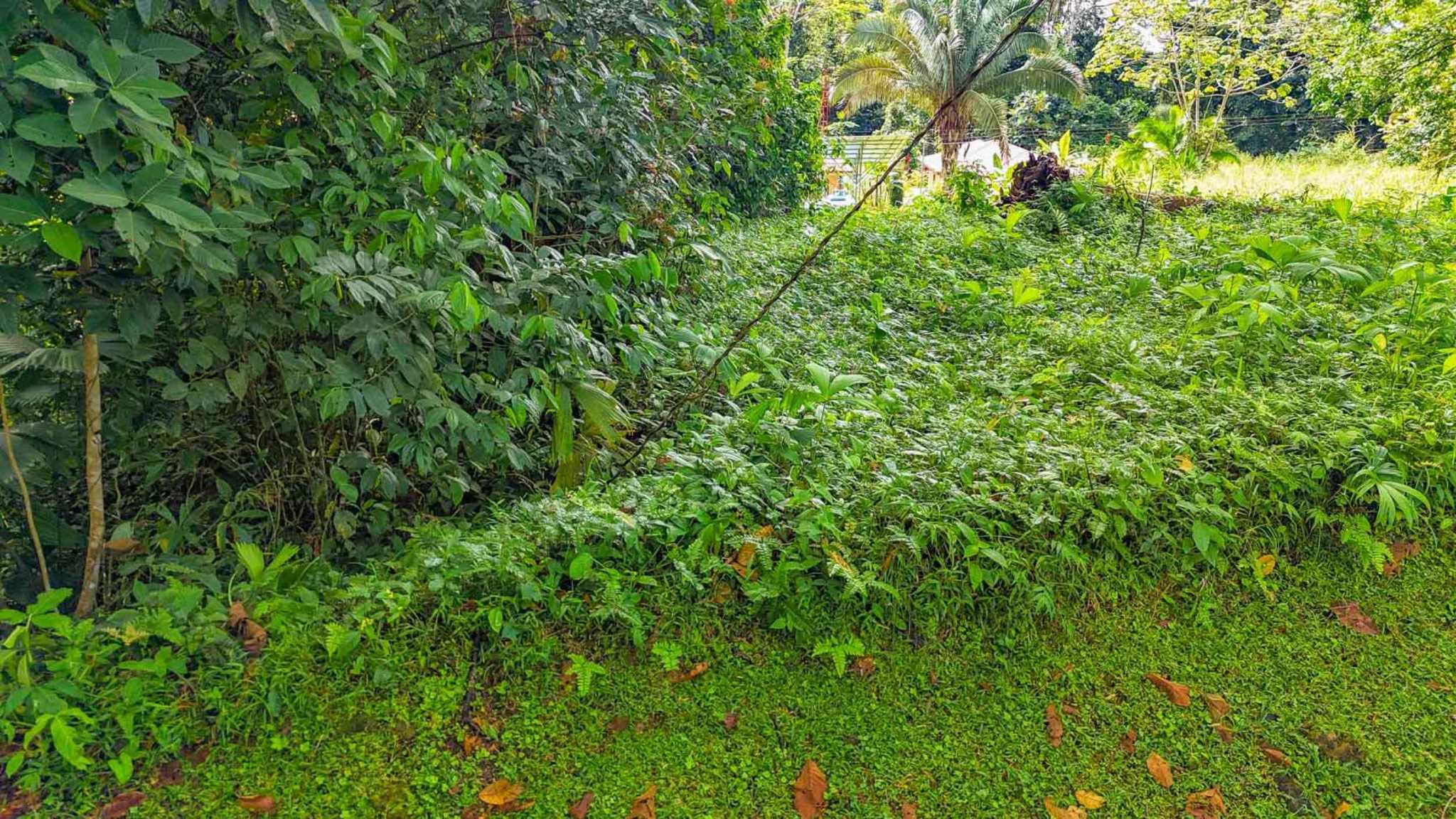 55858-5 Building Lot with Legal Water in Ojochal Costa Rica