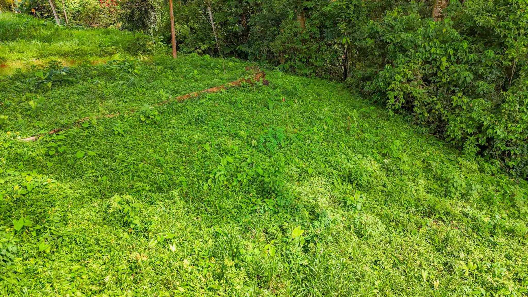 55858-4 Building Lot with Legal Water in Ojochal Costa Rica