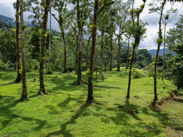 River View 11-Acre Building Lot with Legal Water in Hatillo Costa Rica