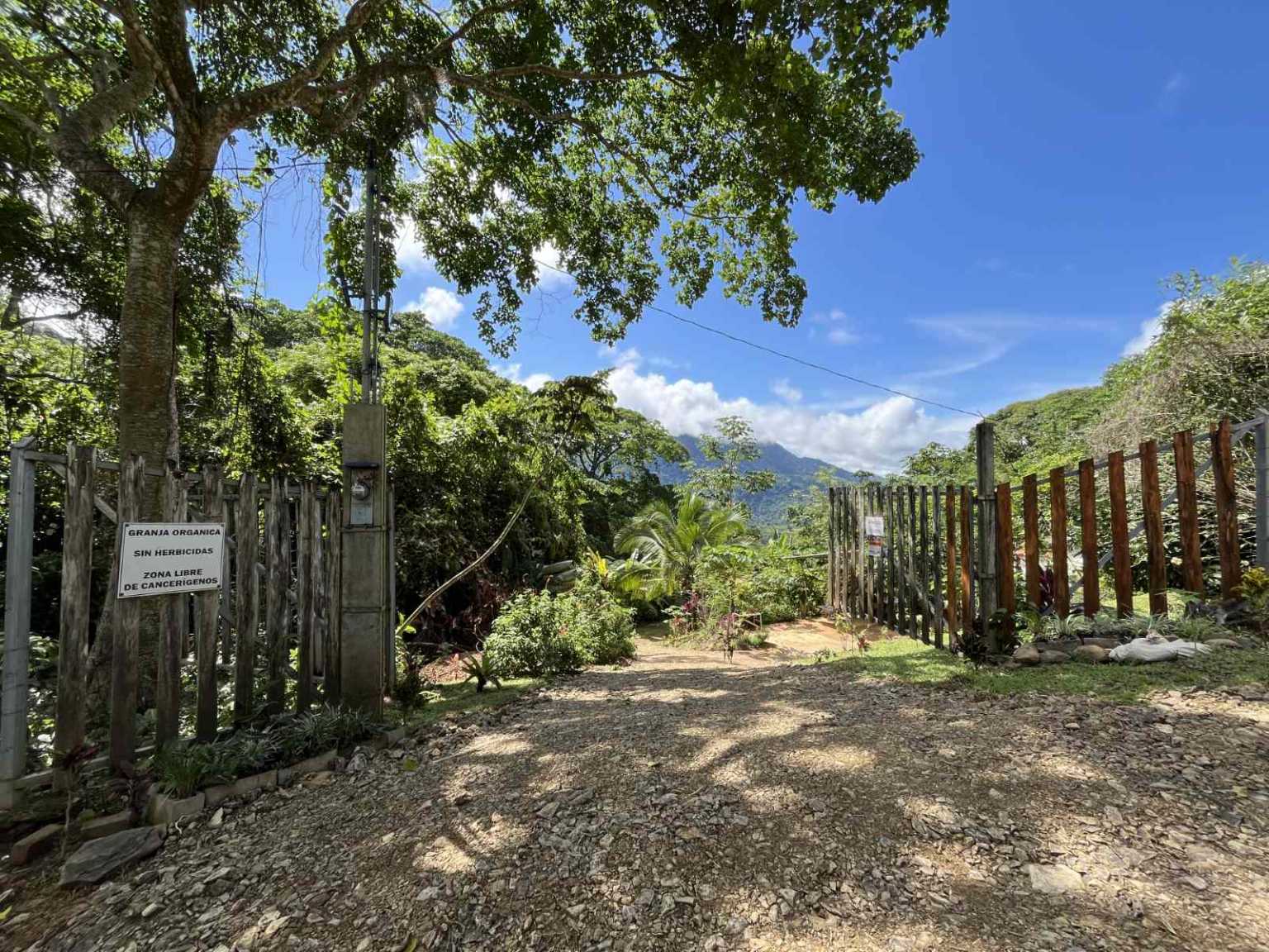 Charming 3-Bedroom Mountain Home with Views & Guest Cabin in Tres Rios Costa Rica