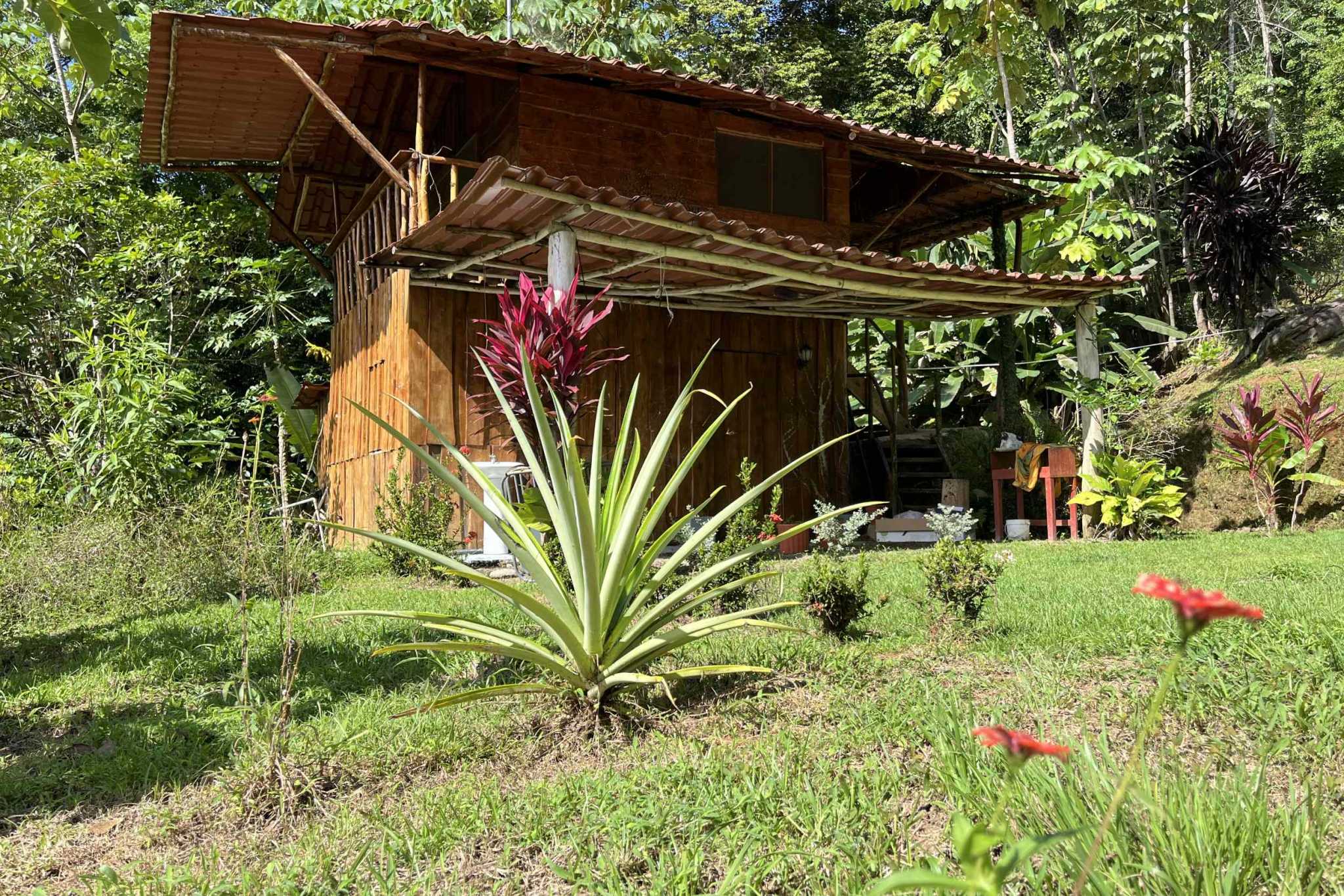 Charming 3-Bedroom Mountain Home with Views & Guest Cabin in Tres Rios Costa Rica