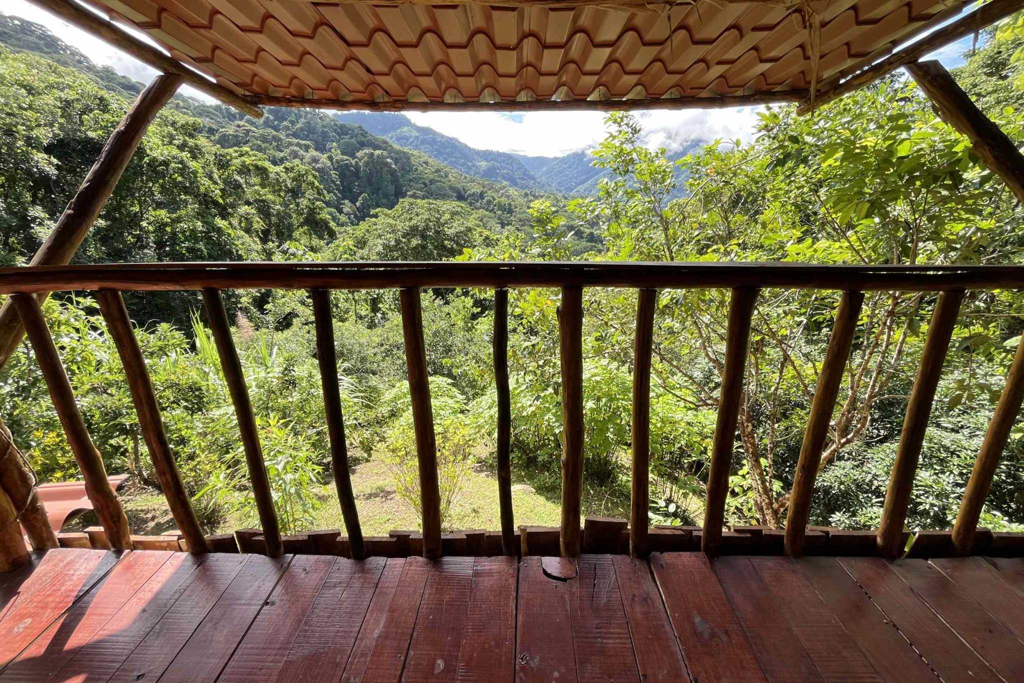 Charming 3-Bedroom Mountain Home with Views & Guest Cabin in Tres Rios Costa Rica