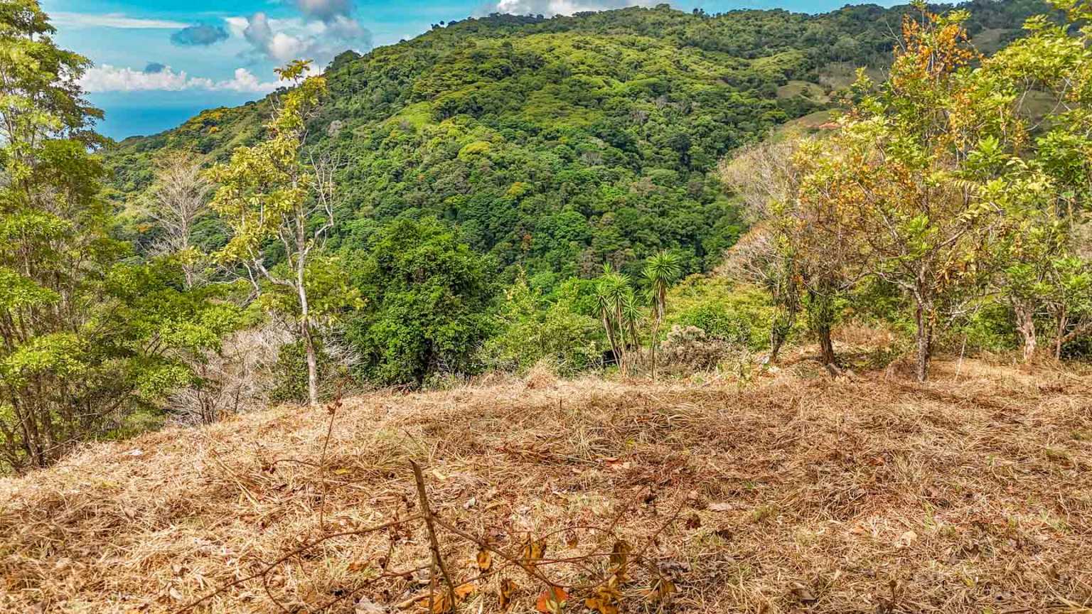 default Ocean & Mountain View 1.5-Acre Building Lot with Legal Water in Uvita Costa Rica