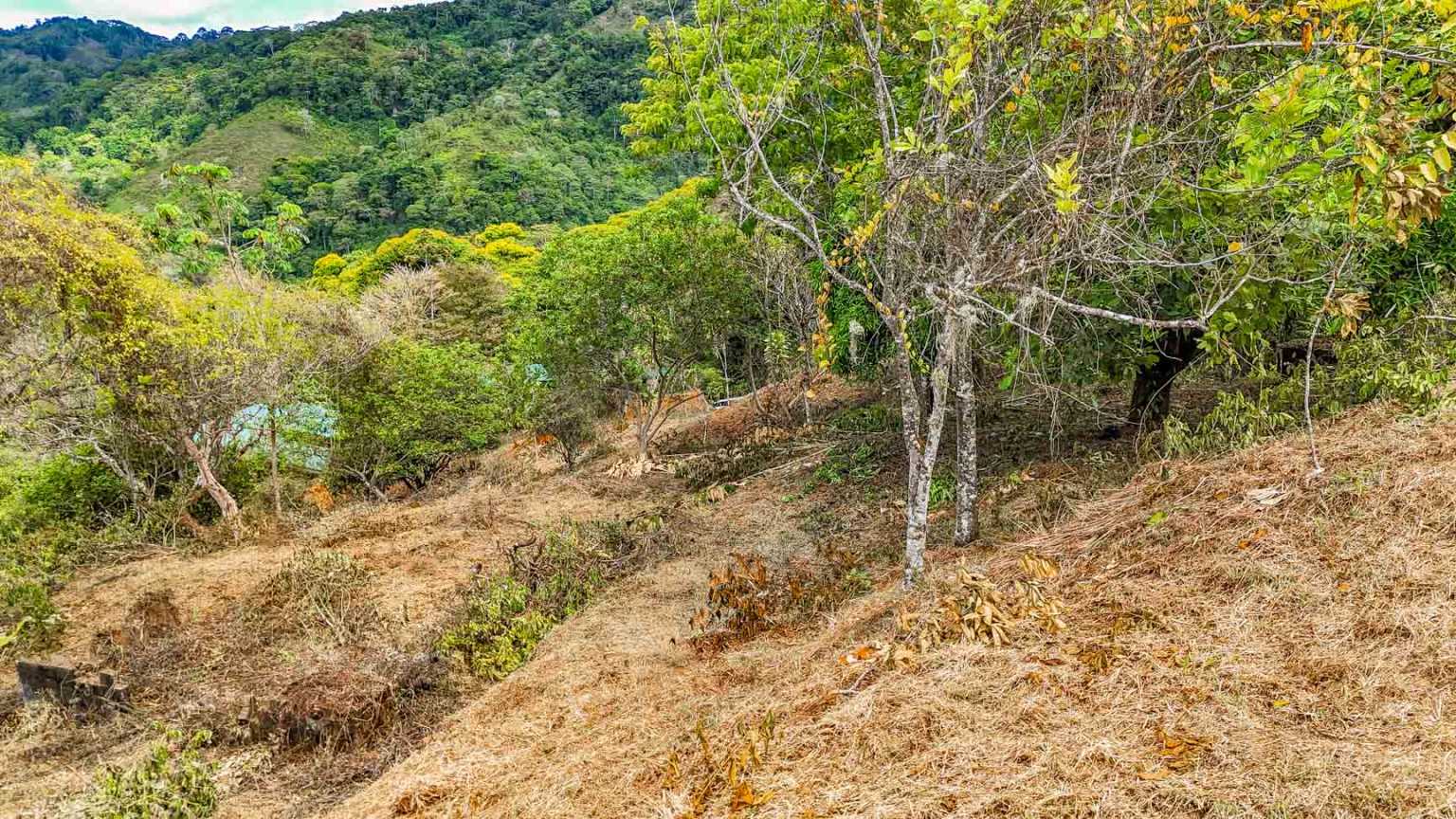 default Ocean & Mountain View 1.5-Acre Building Lot with Legal Water in Uvita Costa Rica