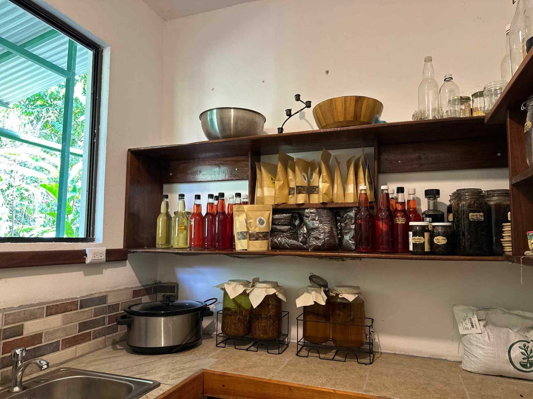 63485-14 Sustainable 3-Bedroom Farm with Guest House & Food Forest in Tinamastes Costa Rica