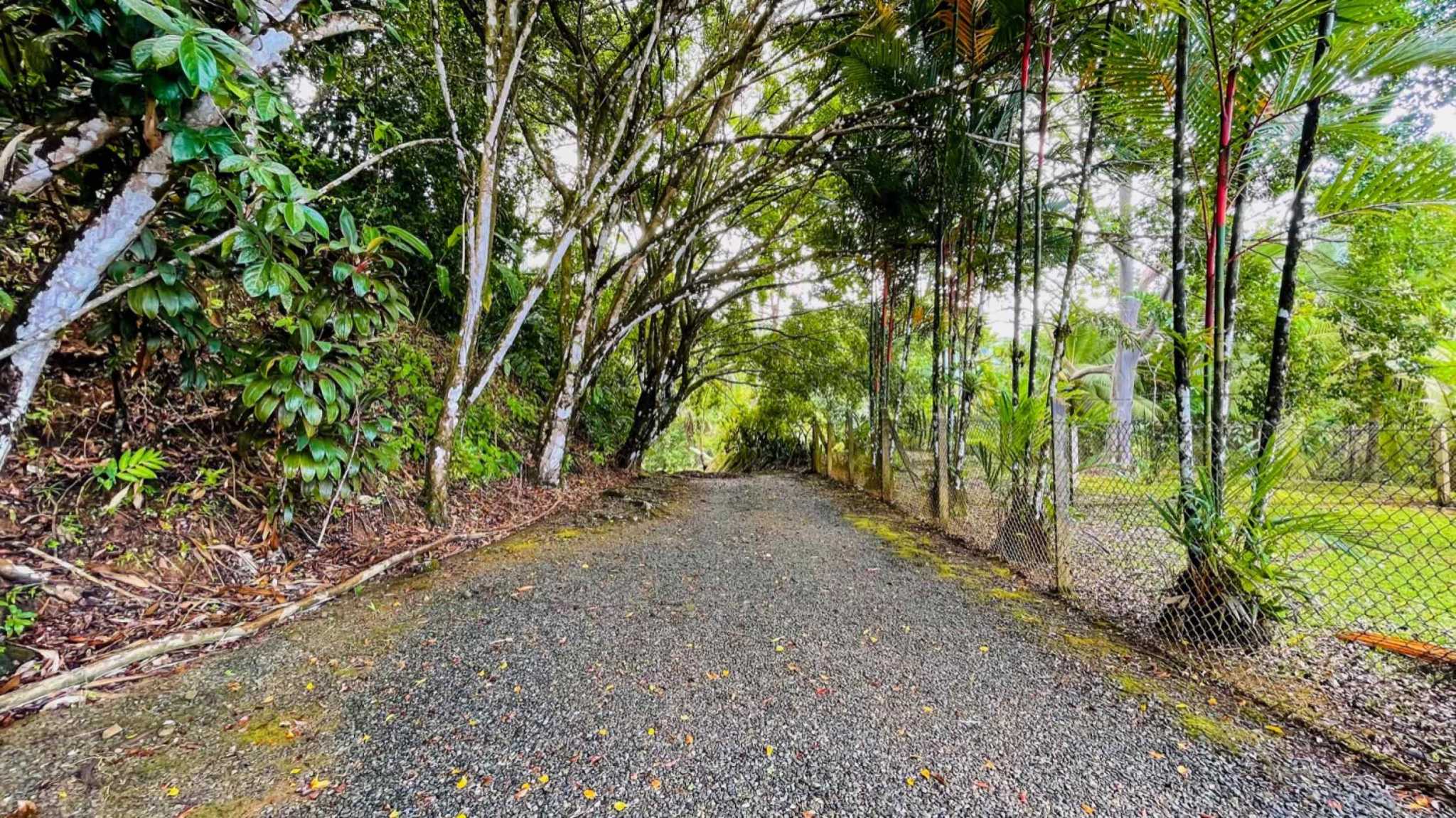 63404-55 Ocean View 4.86-Acre Home with Legal Water in Ojochal Costa Rica
