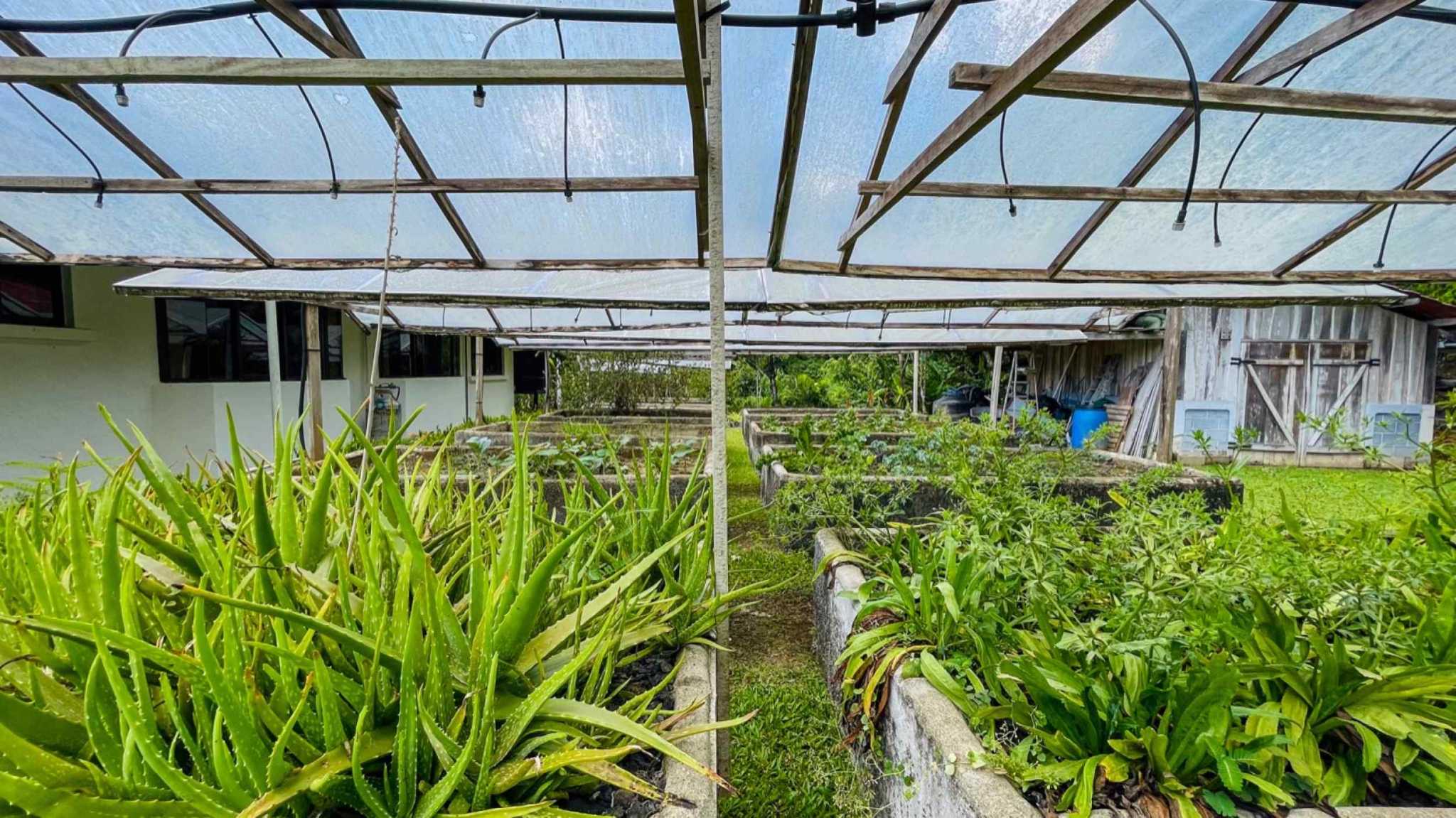 63404-47 Ocean View 4.86-Acre Home with Legal Water in Ojochal Costa Rica