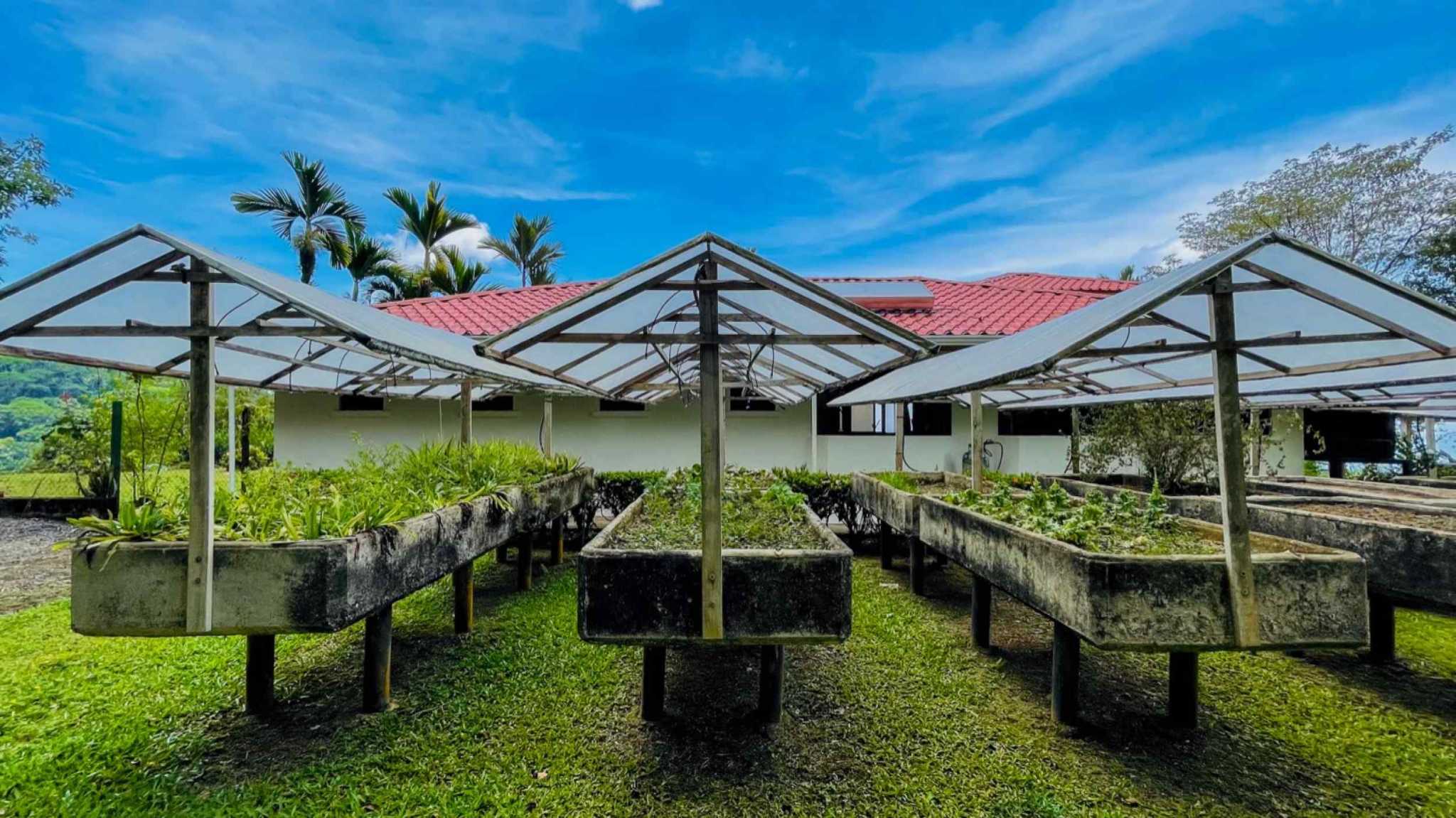 63404-46 Ocean View 4.86-Acre Home with Legal Water in Ojochal Costa Rica