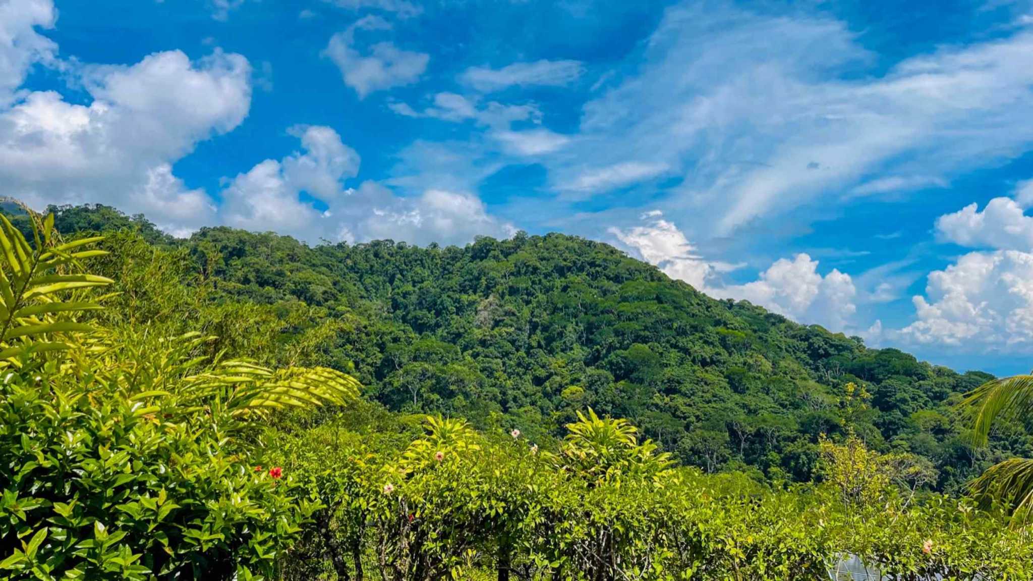 63404-10 Ocean View 4.86-Acre Home with Legal Water in Ojochal Costa Rica