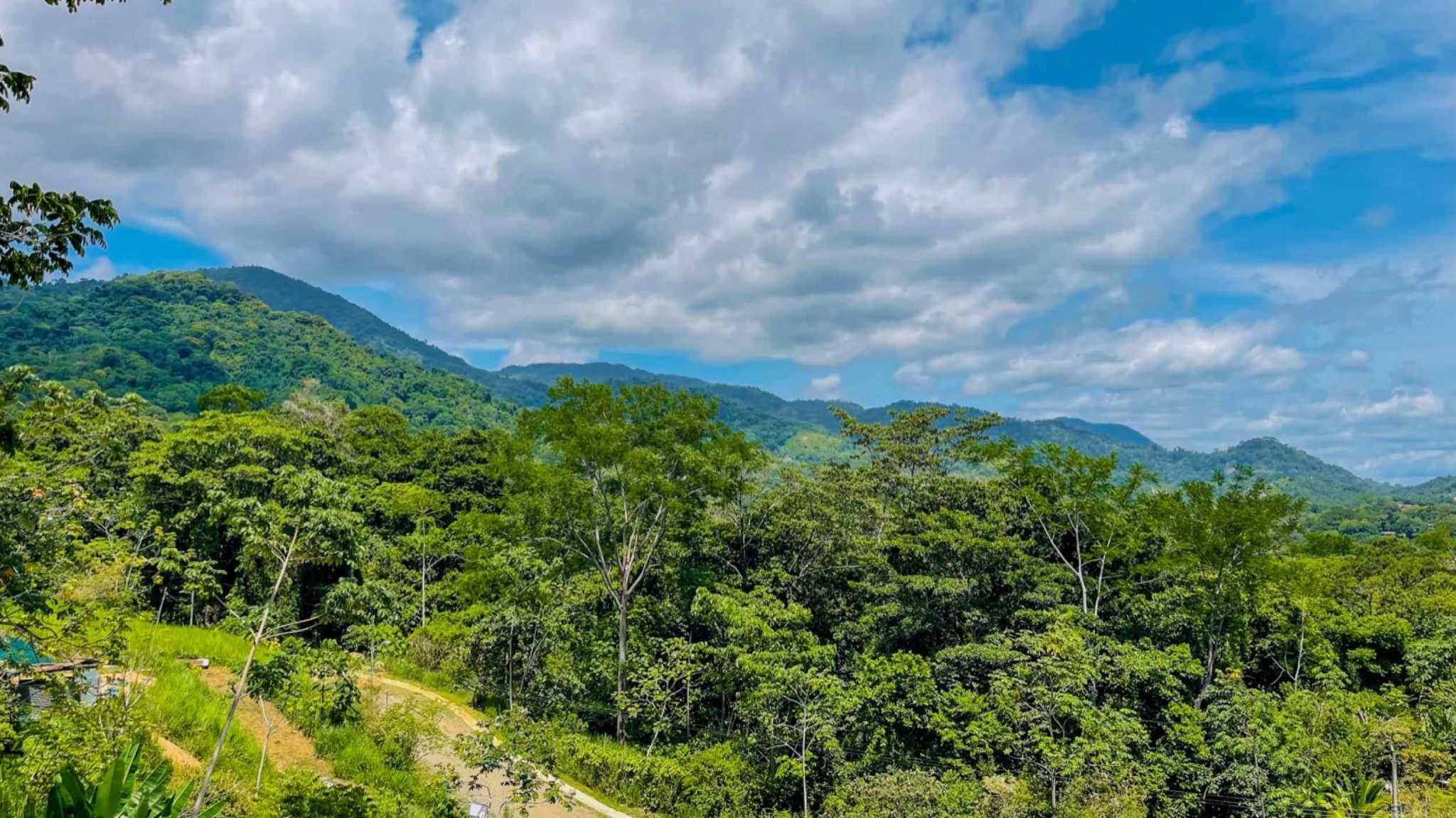 63089-7 Brand-New 4-Bedroom Home with Pool, Mountain Views & 24/7 Security in Ojochal Costa Rica