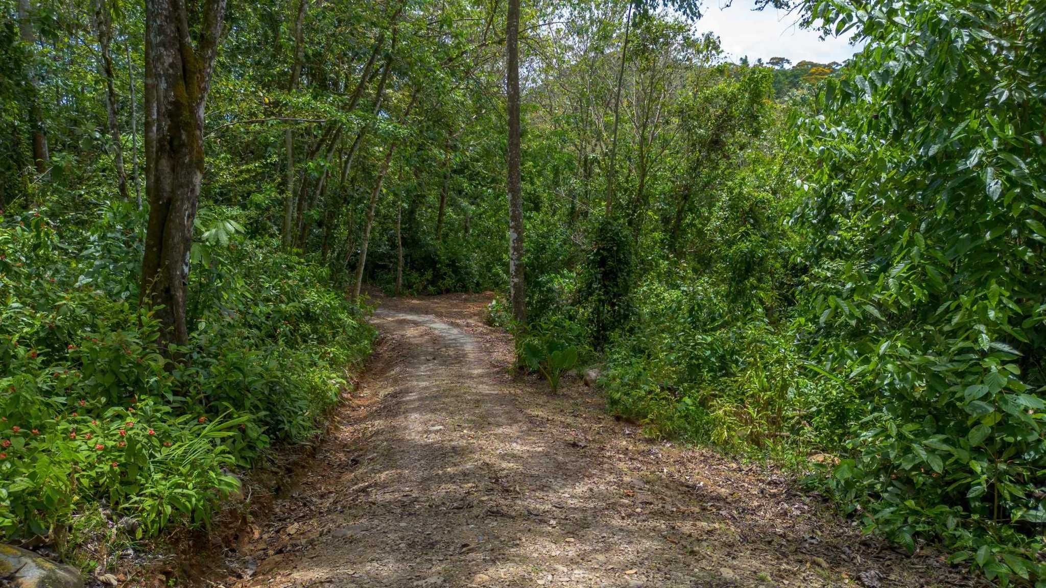 Stunning 3-Bedroom Modern Home with Creek & Mountain Views in Dominical Costa Rica
