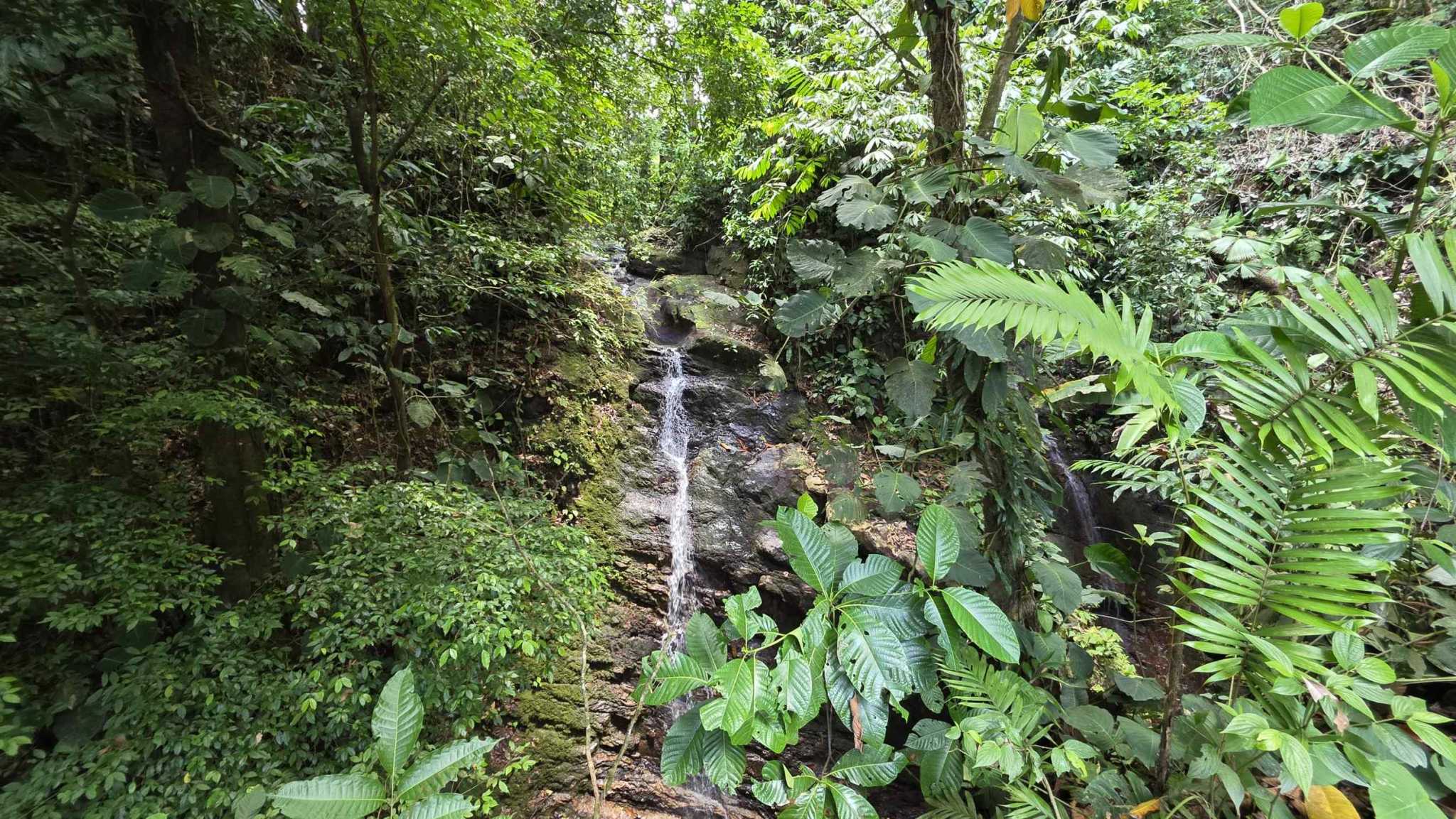 Spectacular 3-Bedroom Jungle Retreat with Private Waterfall in Ojochal Costa Rica