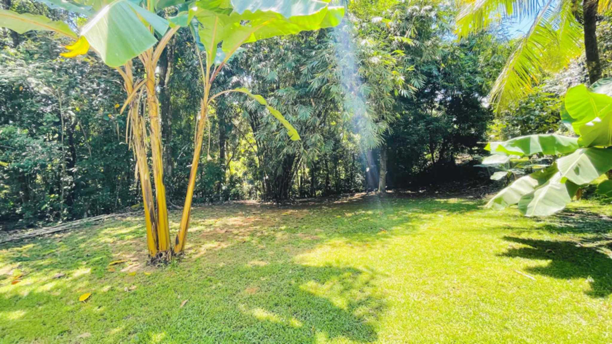 Unique 2-Bedroom Jungle Compound with Modular Home & Guest Cabin in Ojochal Costa Rica