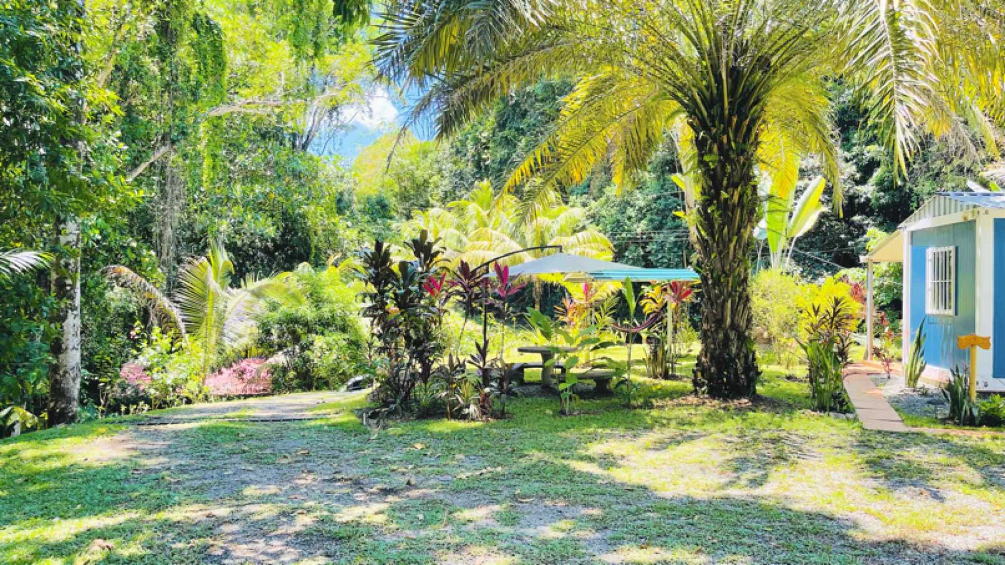 Unique 2-Bedroom Jungle Compound with Modular Home & Guest Cabin in Ojochal Costa Rica