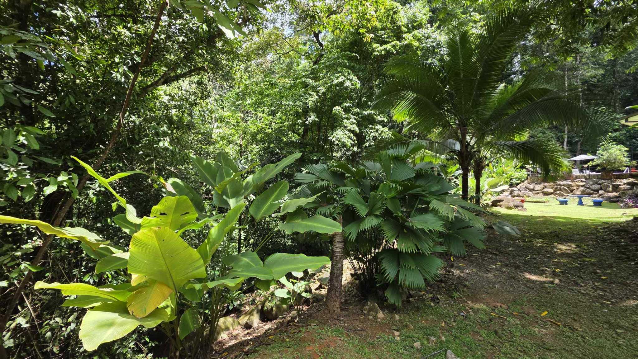 Spectacular 3-Bedroom Jungle Retreat with Private Waterfall in Ojochal Costa Rica