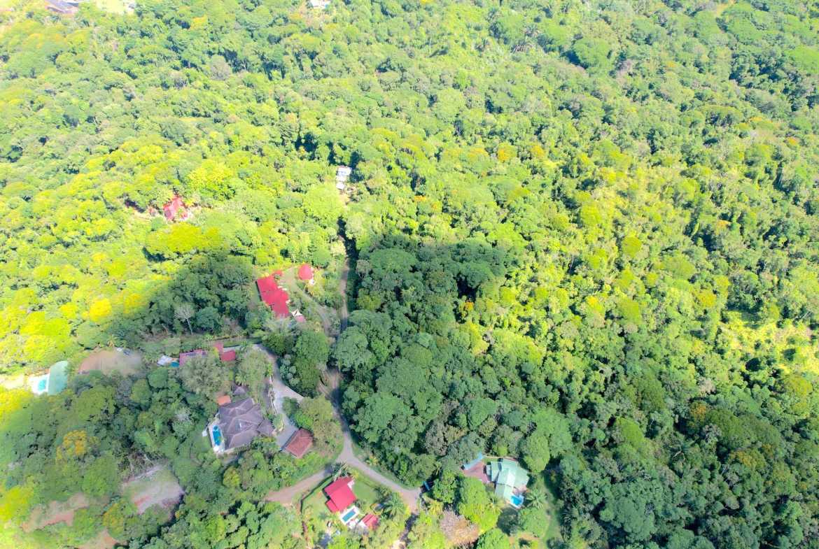 2-Bedroom Jungle Compound with Modular Home & Guest Cabin, photo 15 of 24