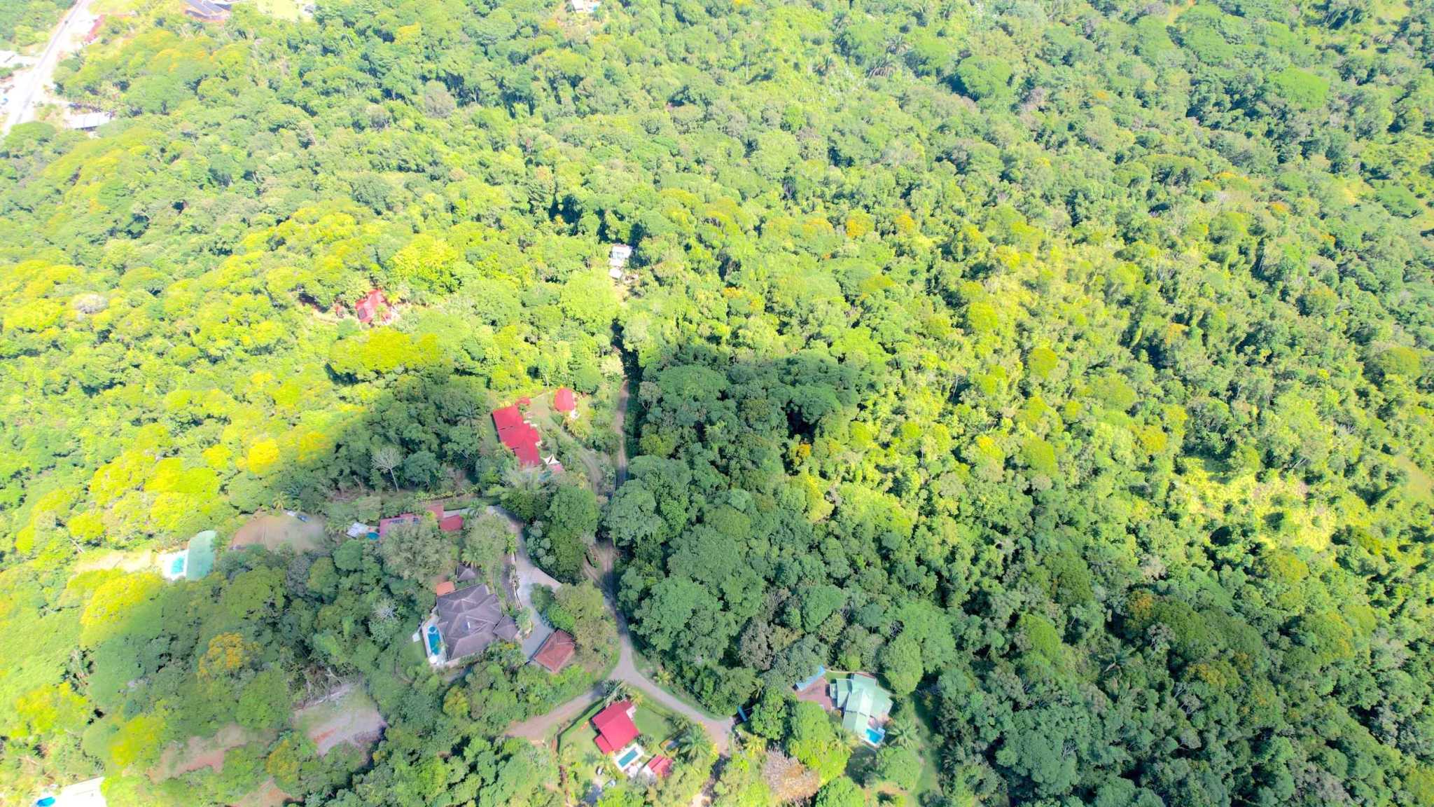 Unique 2-Bedroom Jungle Compound with Modular Home & Guest Cabin in Ojochal Costa Rica