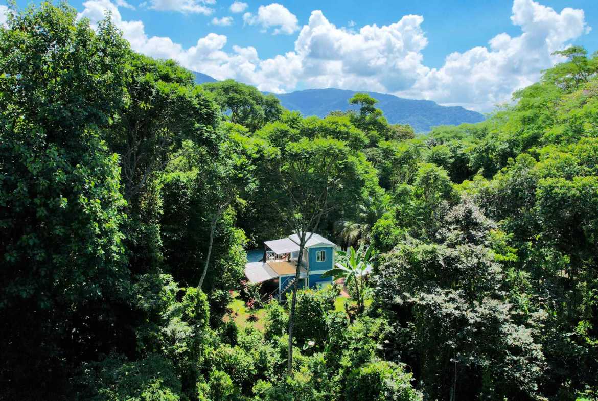 2-Bedroom Jungle Compound with Modular Home & Guest Cabin, photo 13 of 24