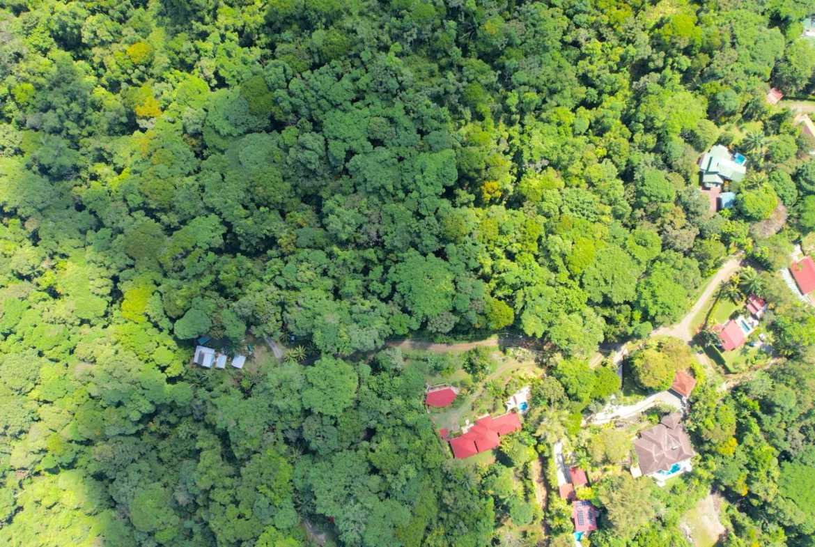 2-Bedroom Jungle Compound with Modular Home & Guest Cabin, photo 4 of 24