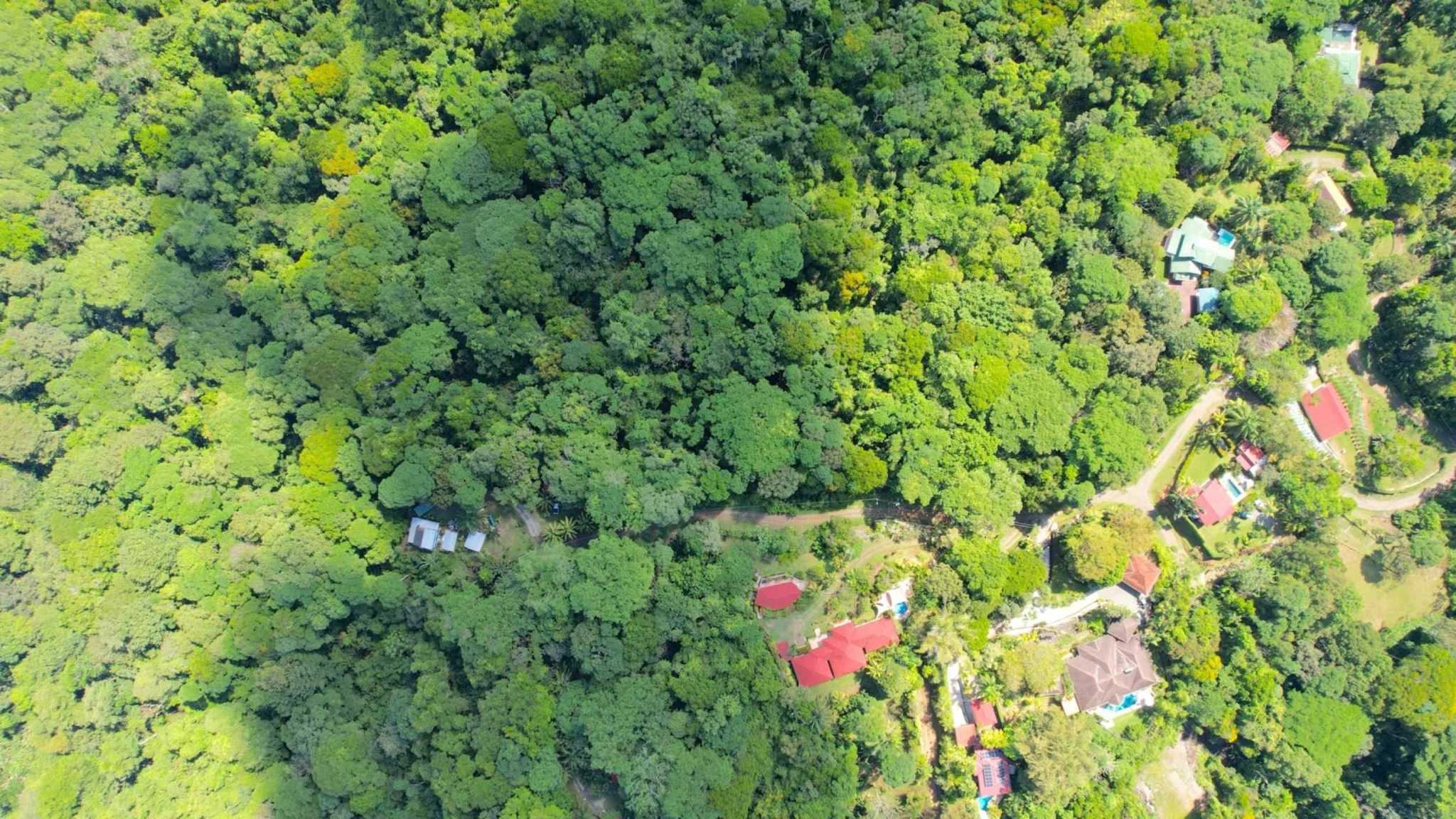 Unique 2-Bedroom Jungle Compound with Modular Home & Guest Cabin in Ojochal Costa Rica