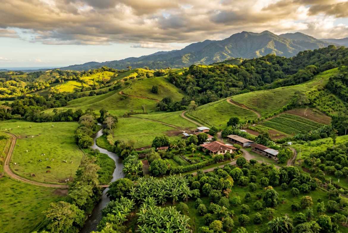Farms for Sale in Costa Rica: What Buyers Need to Know Before They Start Looking