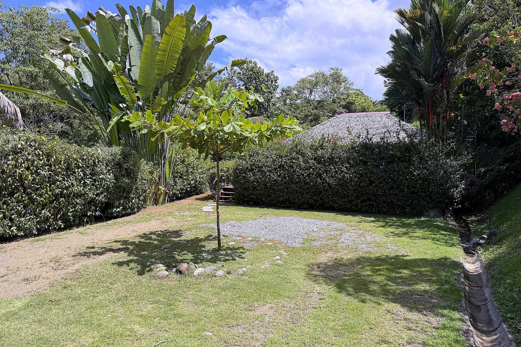 65486-25 Jungle Sanctuary garden path with palms, hedges, and thatched rancho roof in the distance in Ojochal, Costa Rica