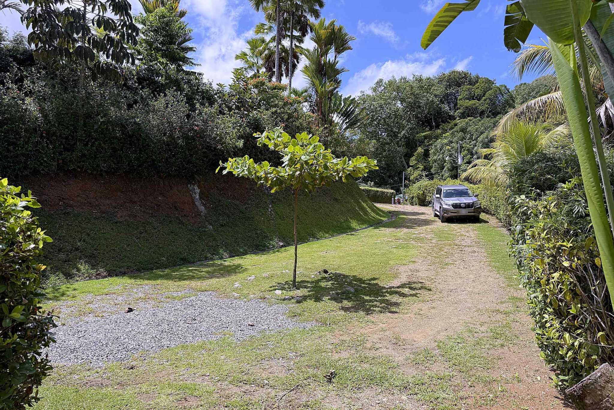 65486-29 Jungle Sanctuary gravel driveway lined with palms and tropical plants, SUV parked in distance, in Ojochal, Costa Rica