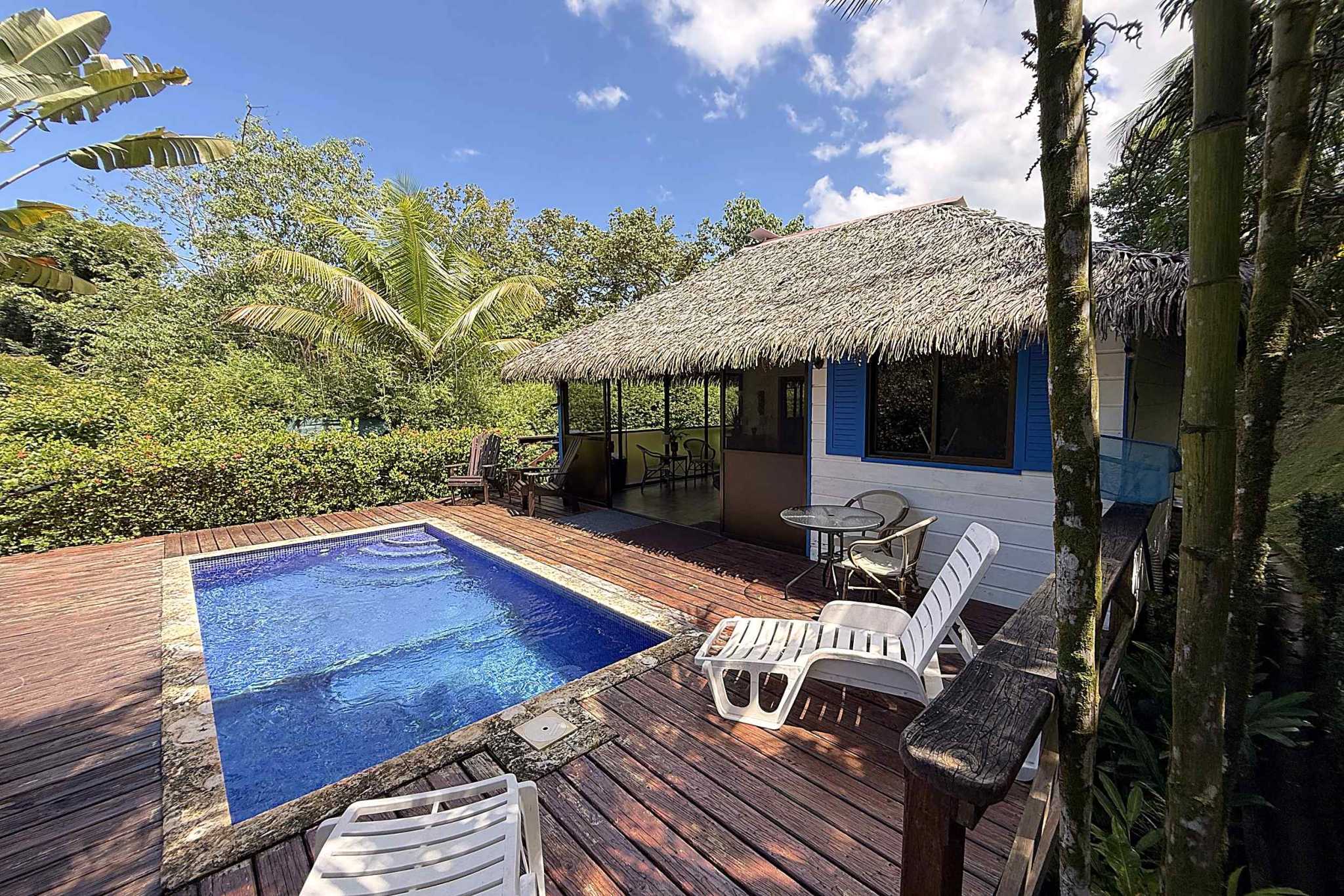 65486-02 Jungle Sanctuary private pool and wood deck beside thatched-roof cabin in Ojochal, Costa Rica