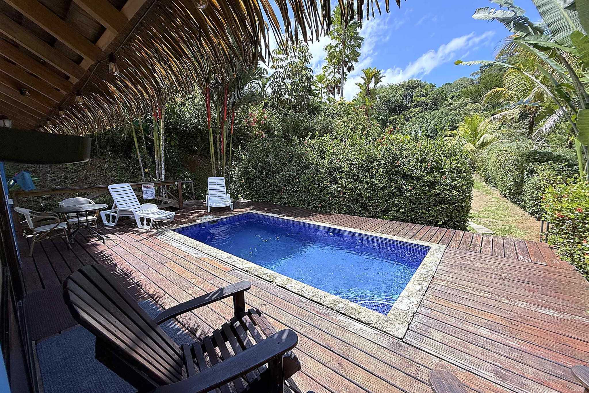 65486-04 Jungle Sanctuary private pool with wood deck, thatched roof and lounge chairs surrounded by tropical jungle in Ojochal, Costa Rica