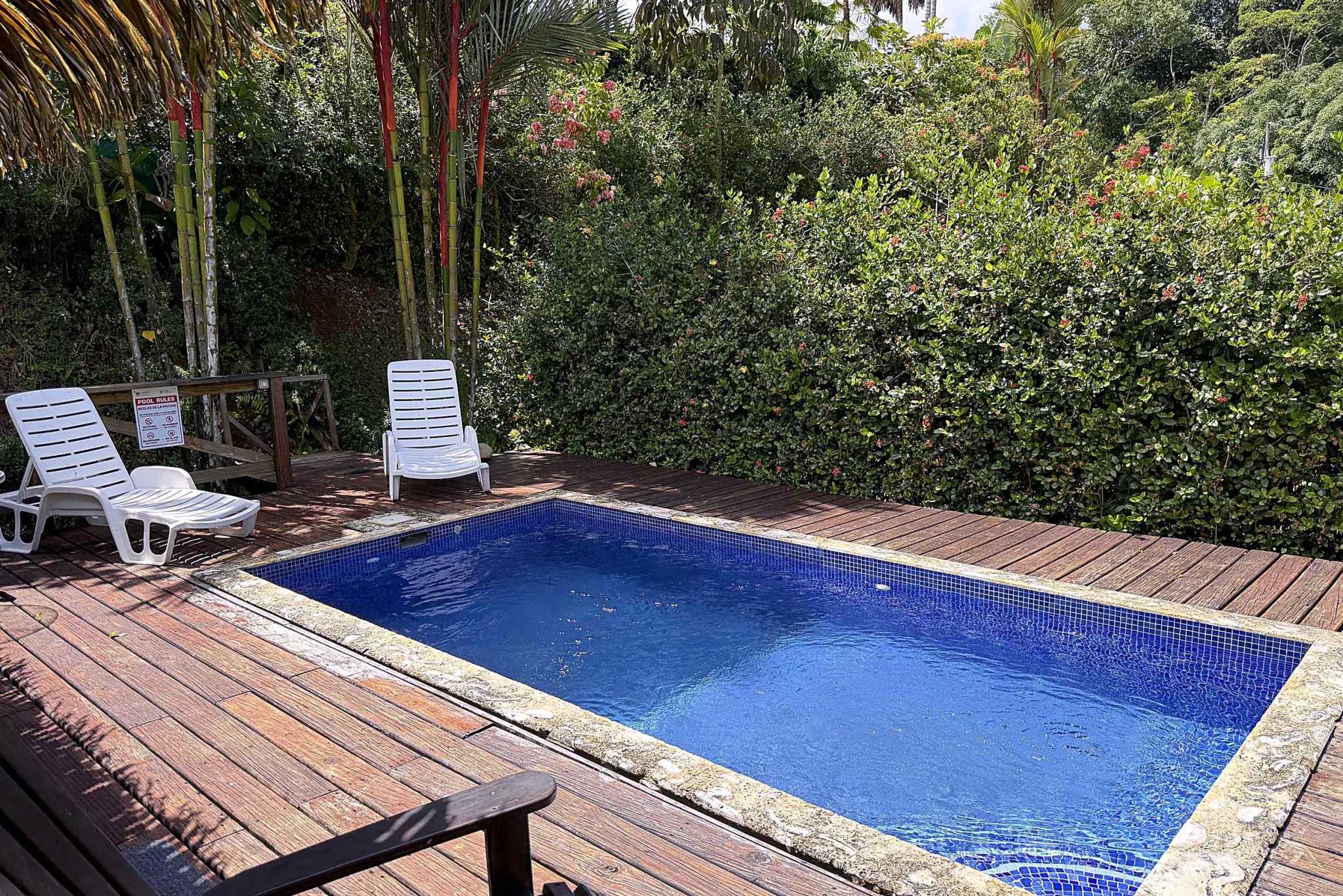 65486-05 Jungle Sanctuary Retreat private tiled pool with wooden deck and lounge chairs amid tropical foliage in Ojochal, Costa Rica