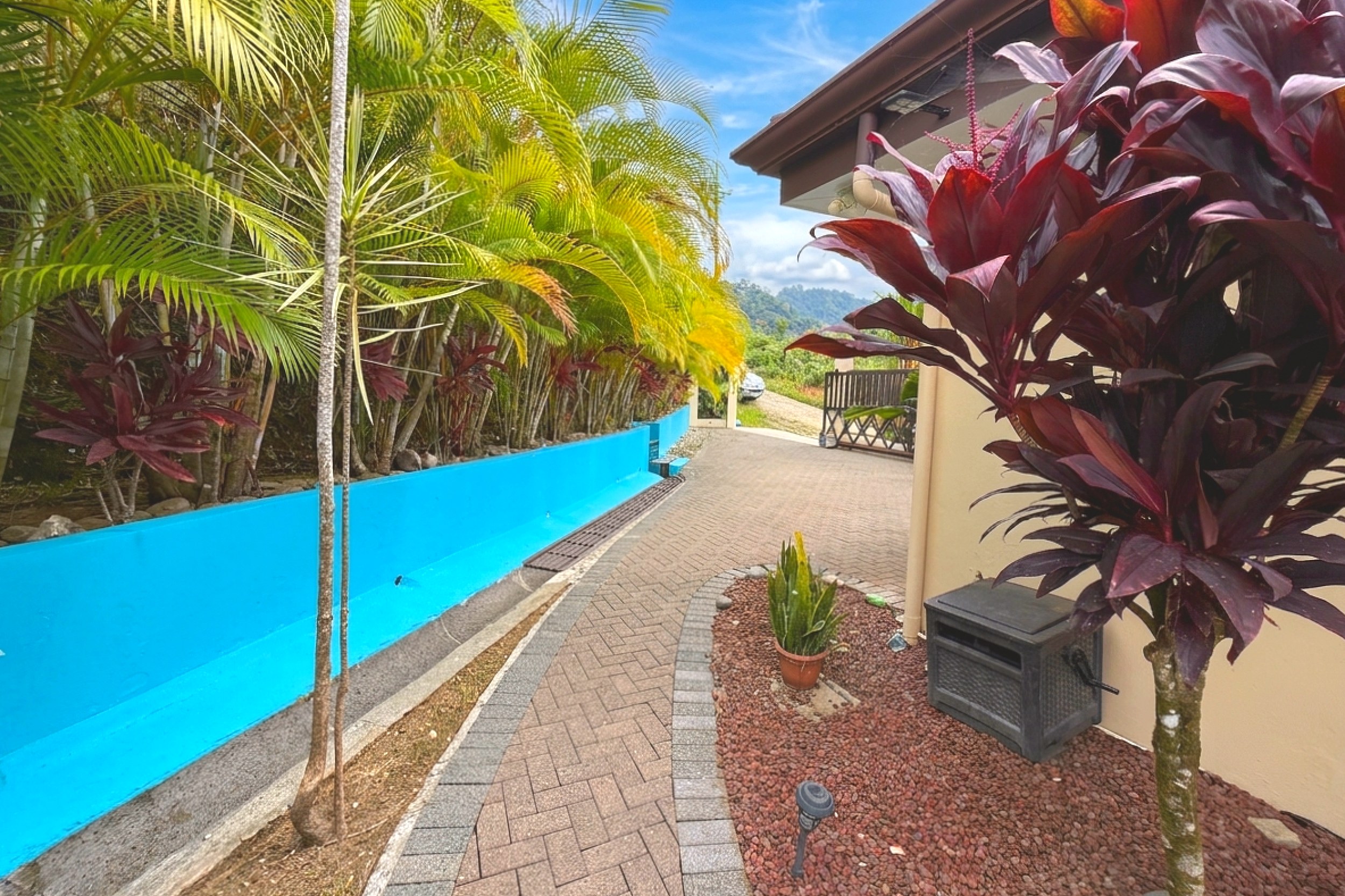 Curved brick walkway lined by vibrant palms and a blue retaining wall in Toucan Valley, Costa Rica.