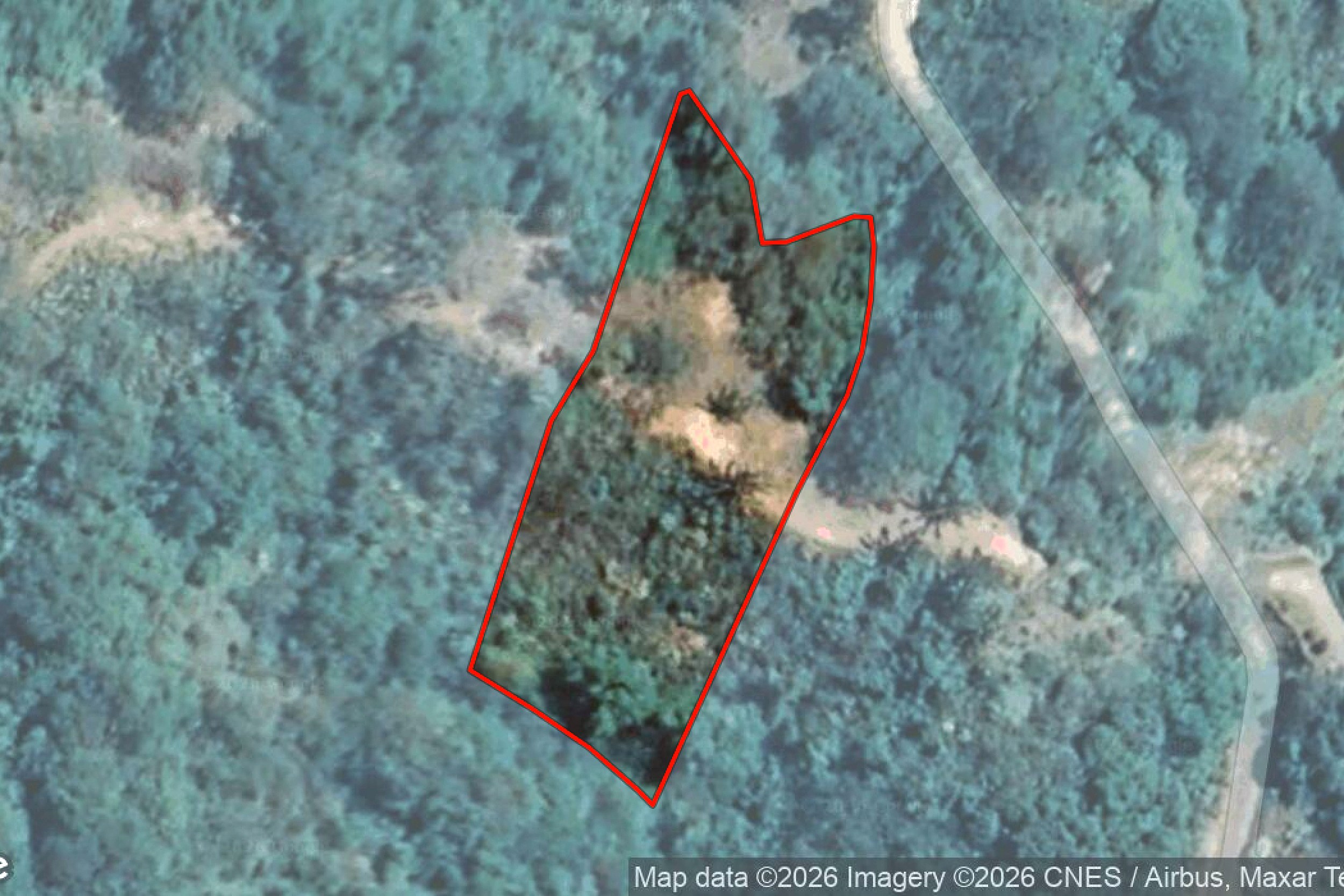 Property Lot Boundary Modern Luxury 4-Bedroom Home satellite map with lot outline in Chontales, Costa Rica.