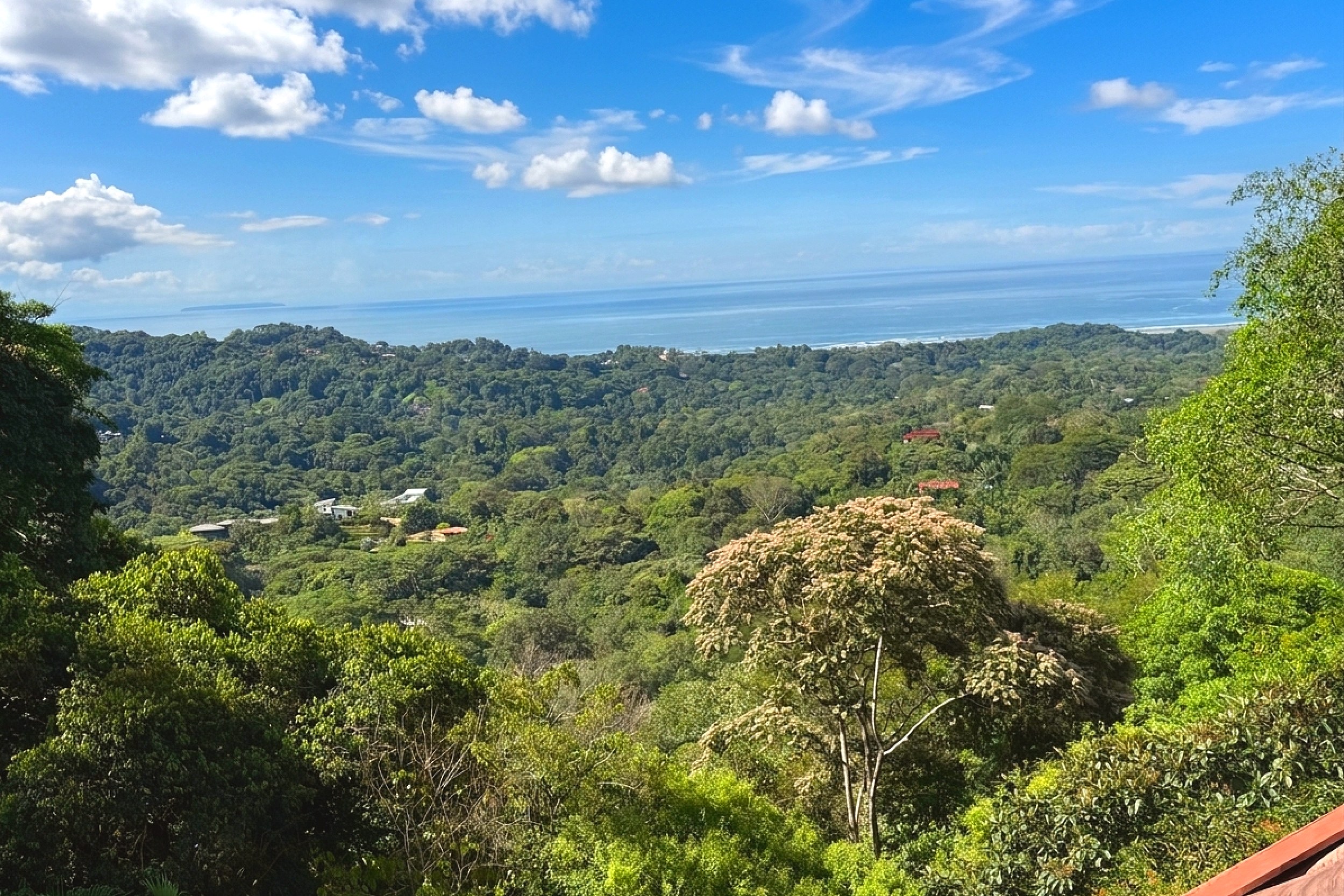 Panoramic Ocean & Jungle View Panoramic Ocean View Home lush hillside canopy with distant sea view in Ojochal, Costa Rica